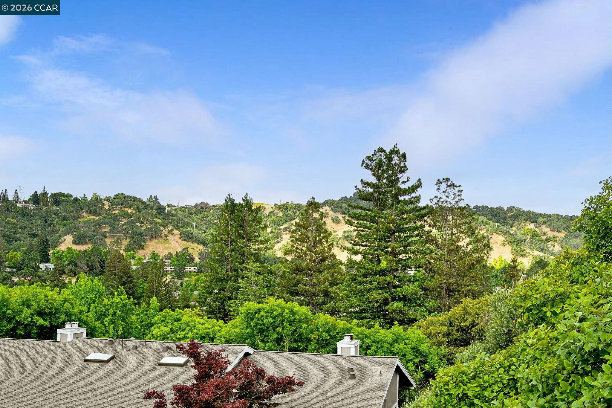 Photo #8: 41135868 Listing: Photo #8