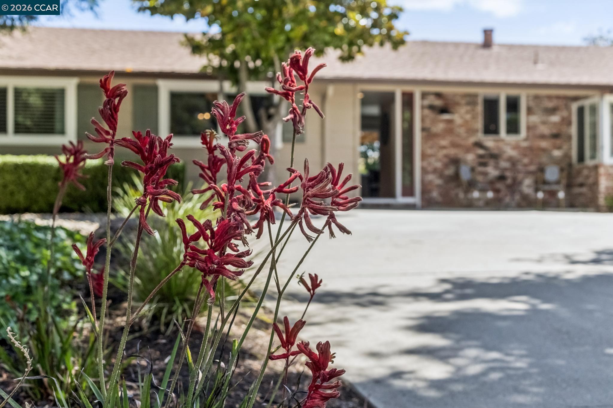 978 Kenston Dr, Clayton CA 94517 — photo 53