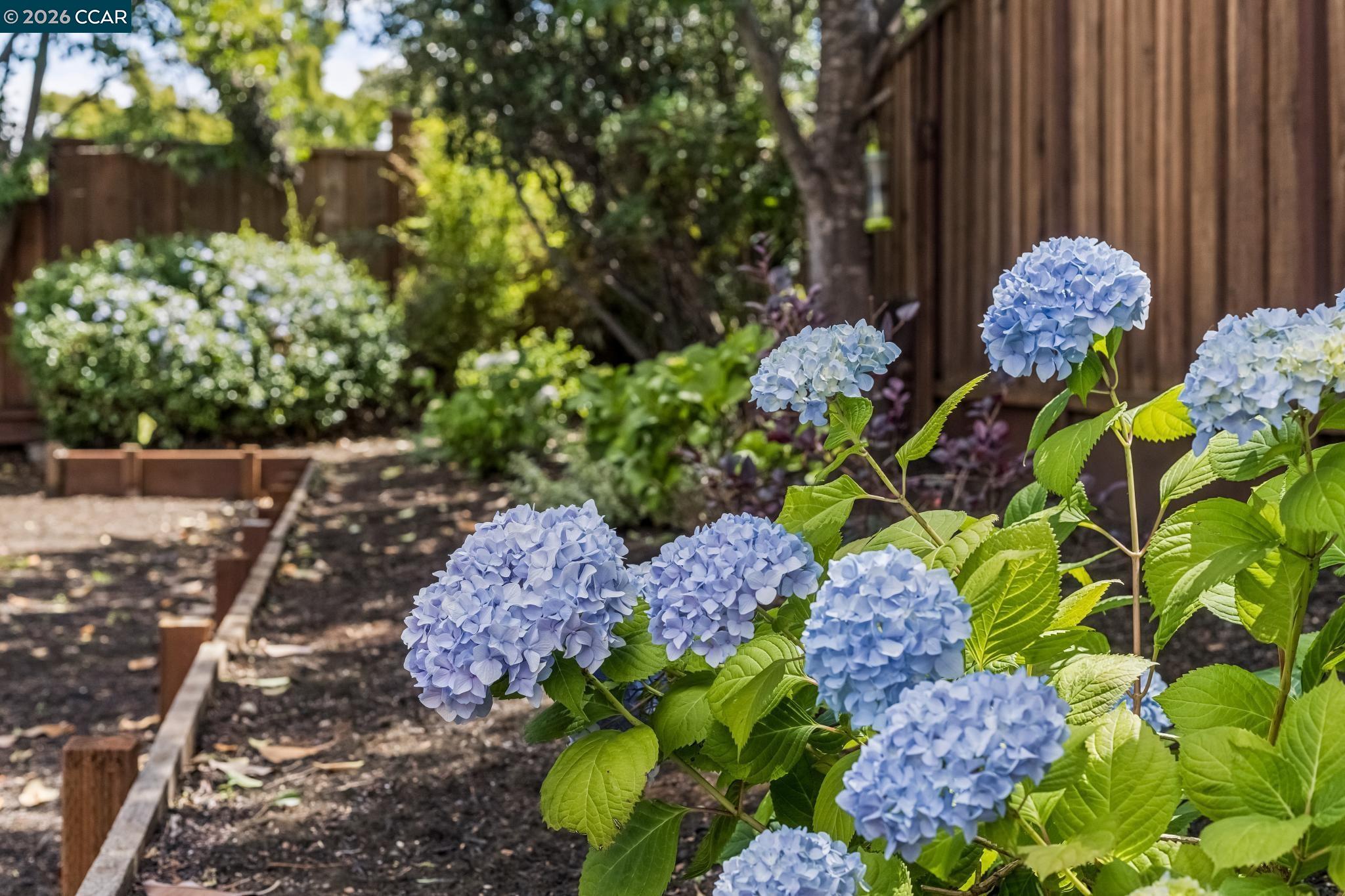 978 Kenston Dr, Clayton CA 94517 — photo 55