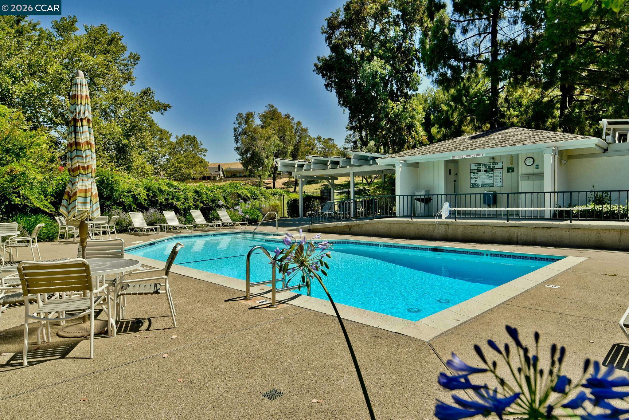 Photo #34: 41136028 Listing: Photo #34
