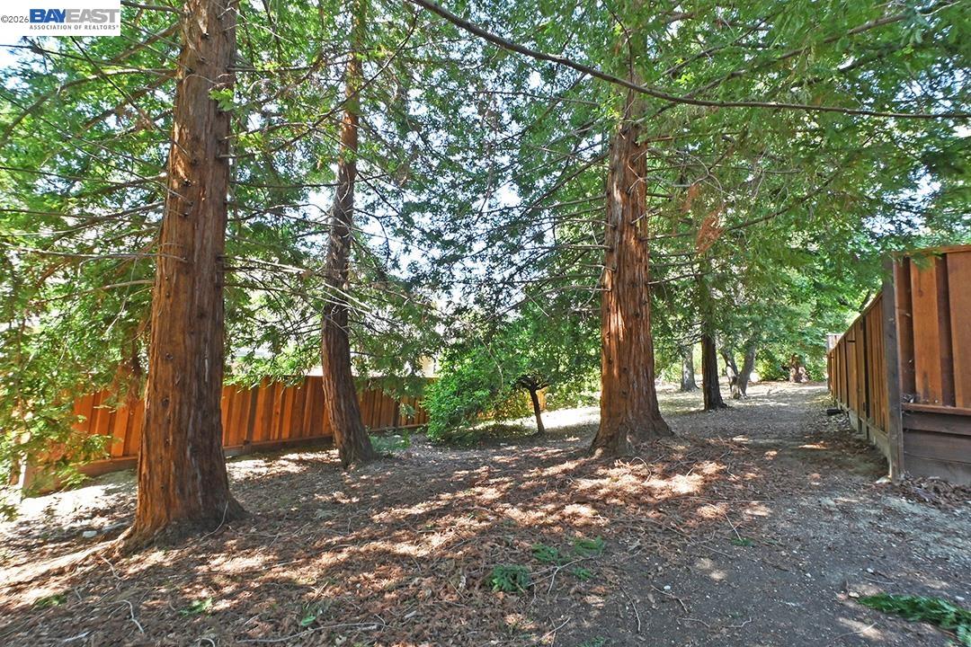 Photo #29: 41136101 Listing: Photo #29