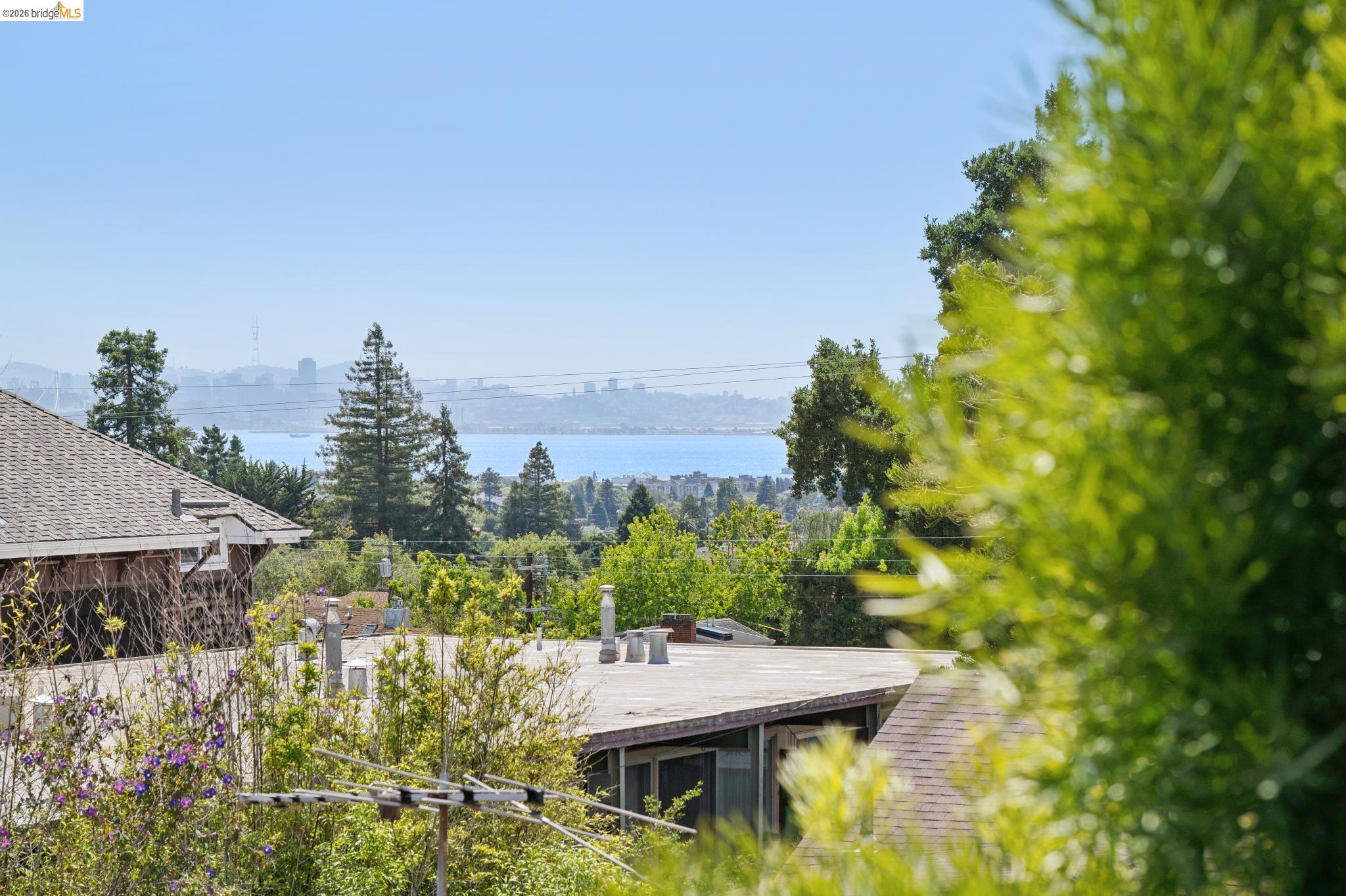 Photo #11: 41136131 Listing: Photo #11