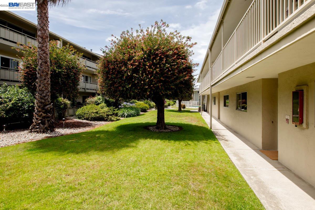 Photo #58: 41136136 Listing: Photo #58