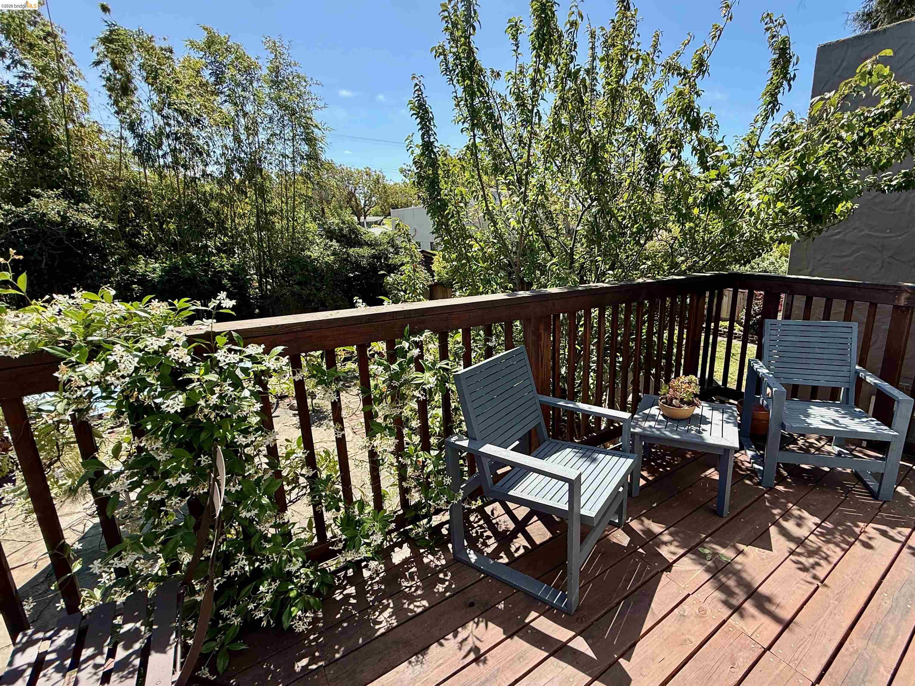 Photo #12: 41136169 Listing: Photo #12