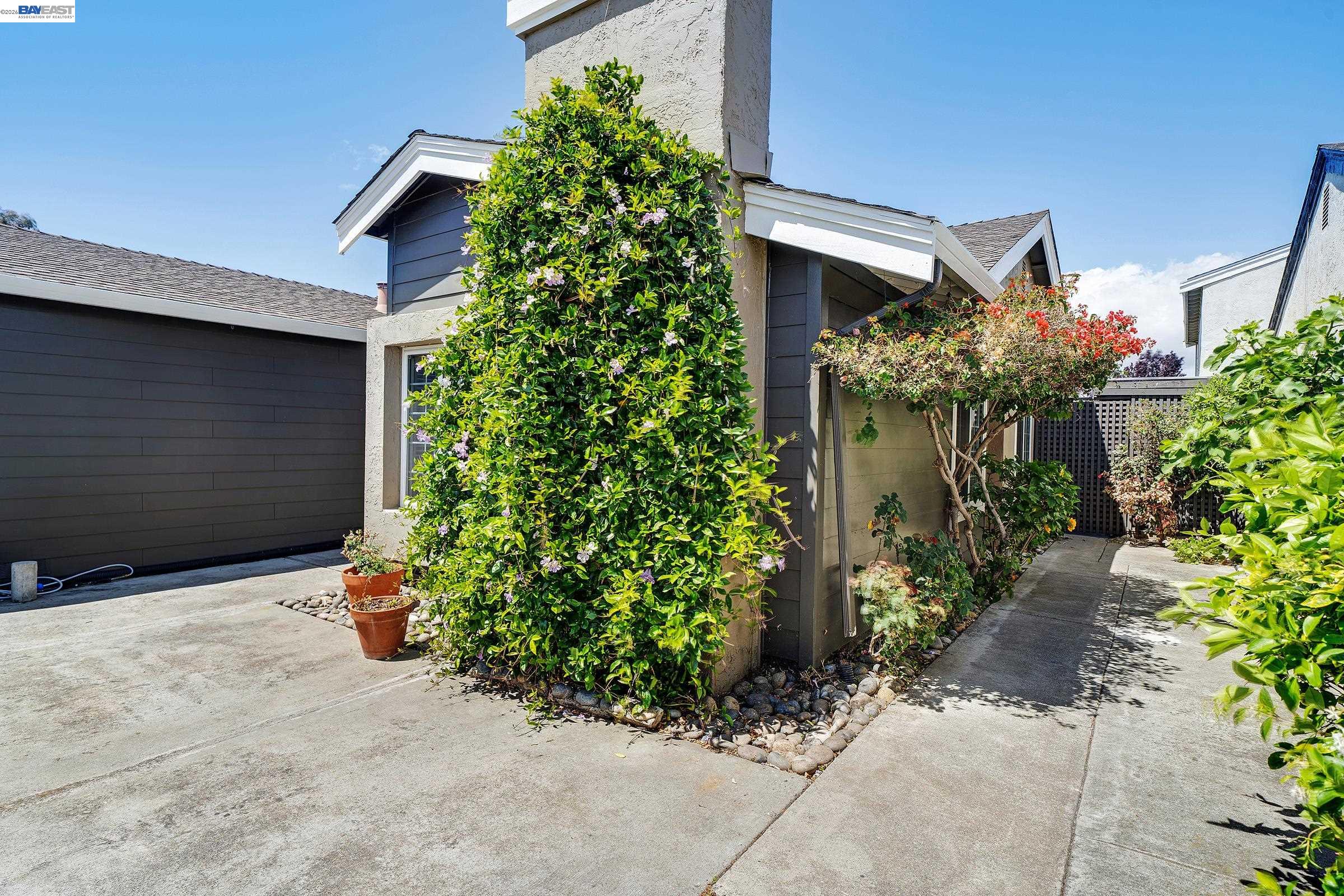 39052 Levi St, Newark CA 94560 — photo 6