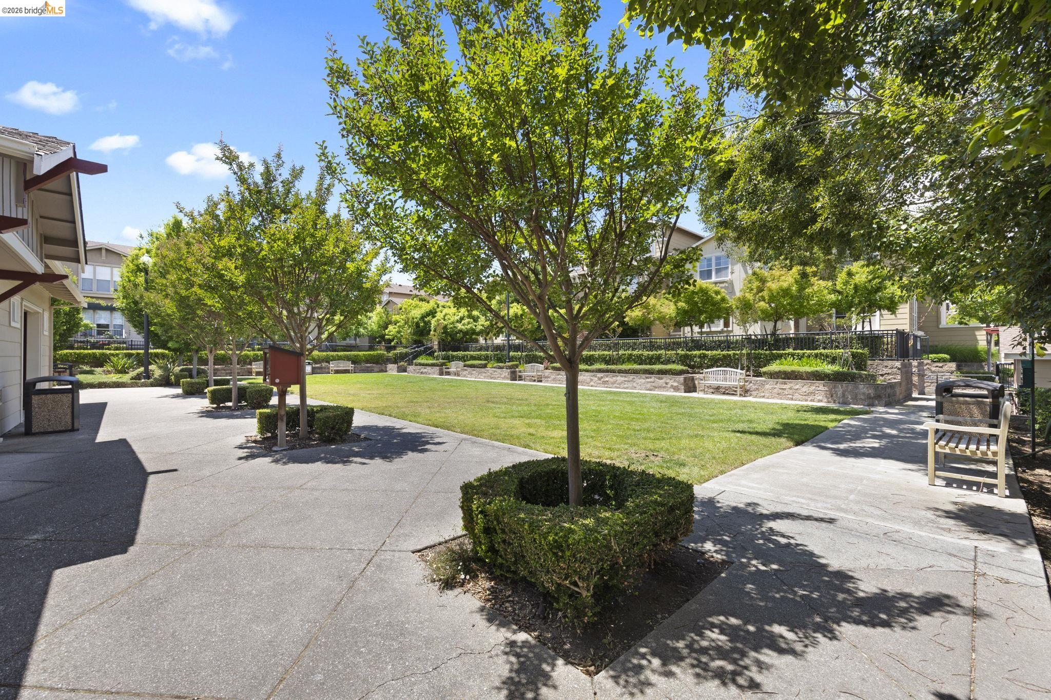 Photo #40: 41136278 Listing: Photo #40