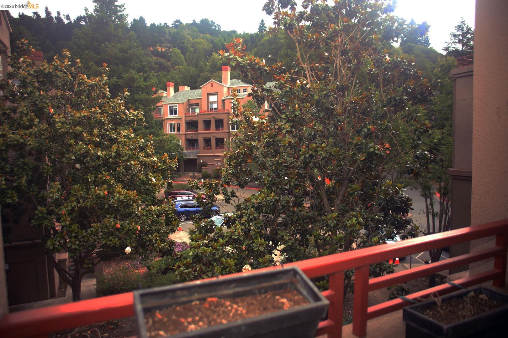 Photo #24: 41136307 Listing: Photo #24