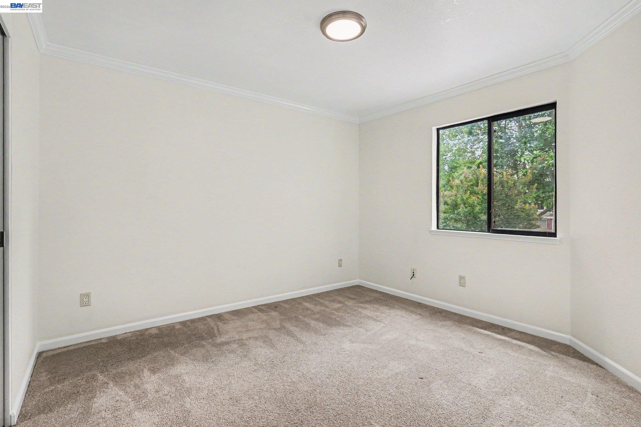 Photo #19: 41136323 Listing: Photo #19