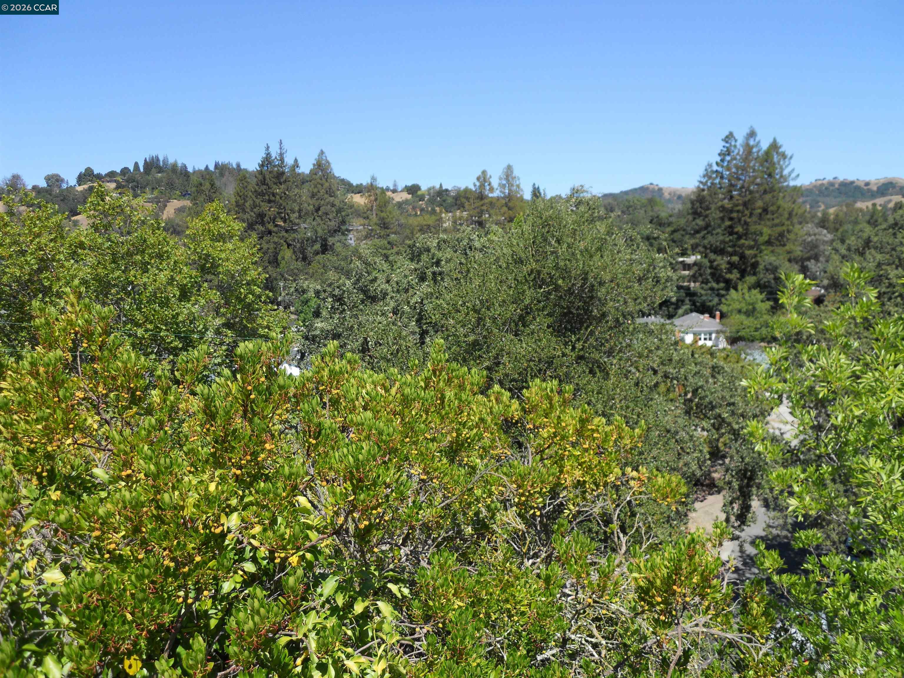 3692 Sundale, Lafayette CA 94549 — photo 6