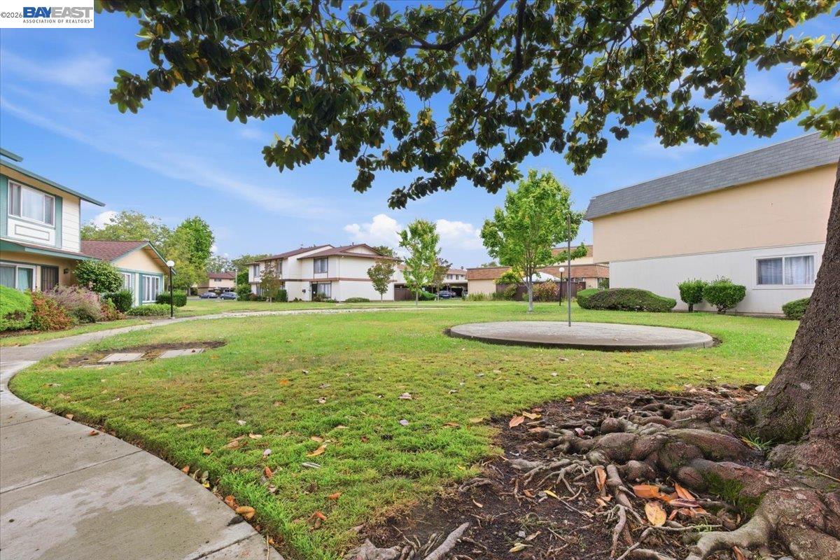 Photo #19: 41136422 Listing: Photo #19