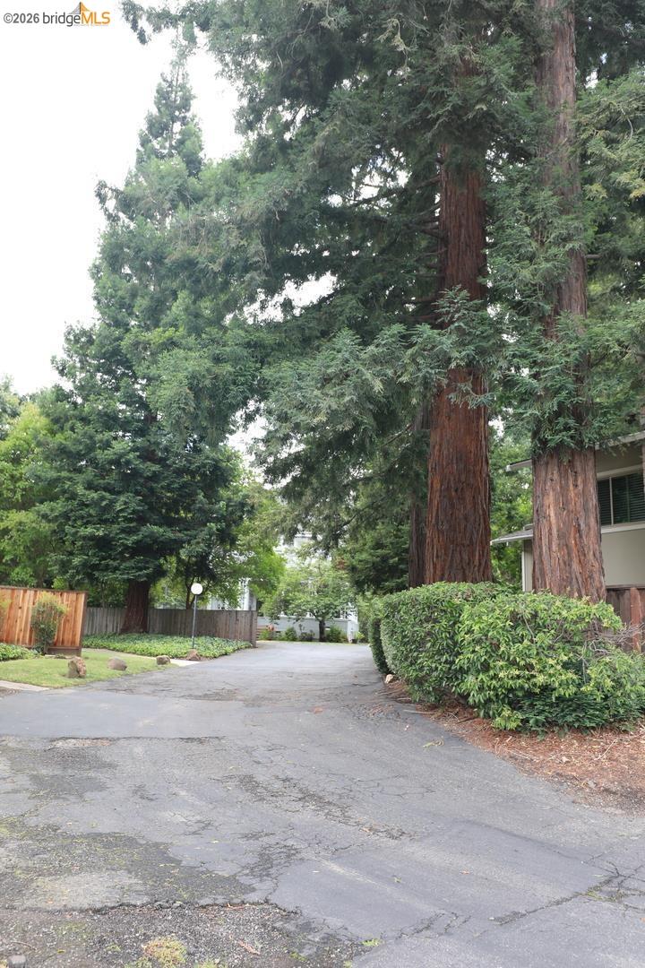 Photo #39: 41136434 Listing: Photo #39