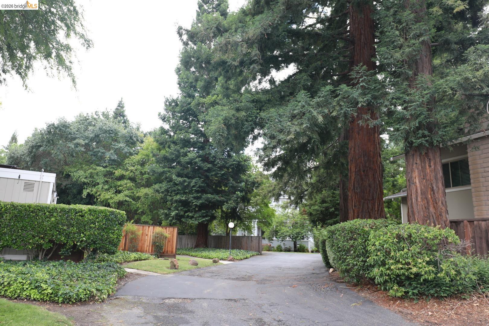 Photo #40: 41136434 Listing: Photo #40