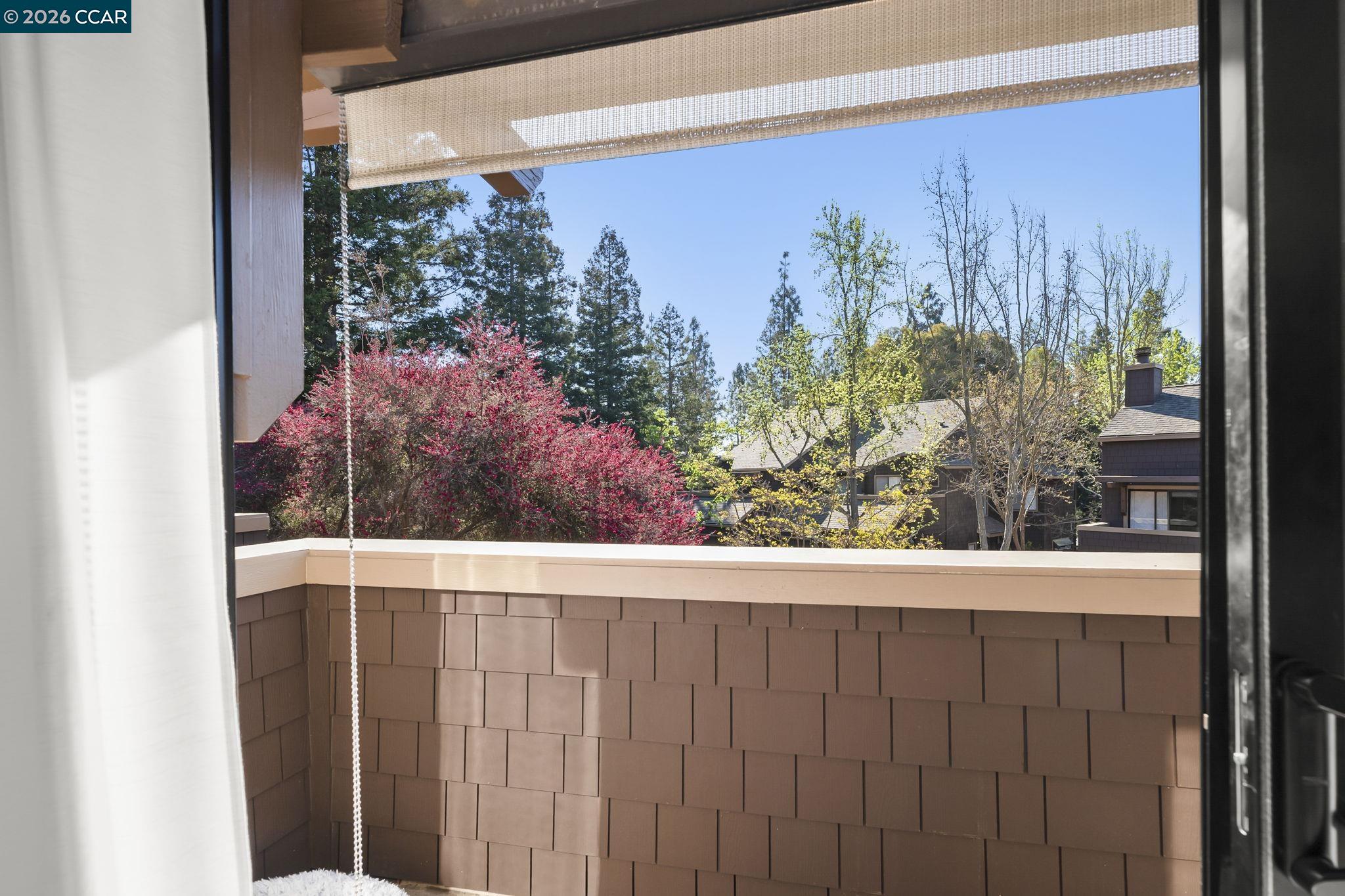 Photo #23: 41136444 Listing: Photo #23