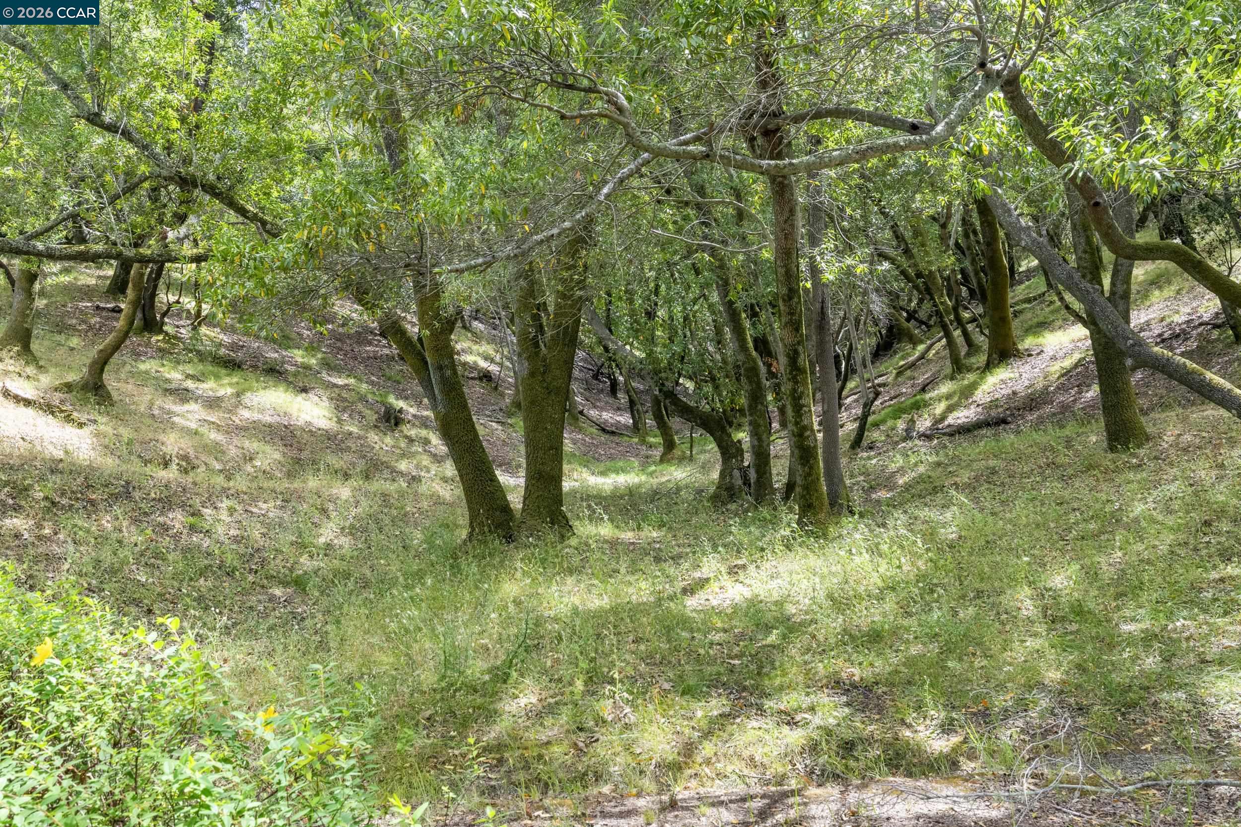 28 Curlew Way, Novato CA 94949 — photo 31