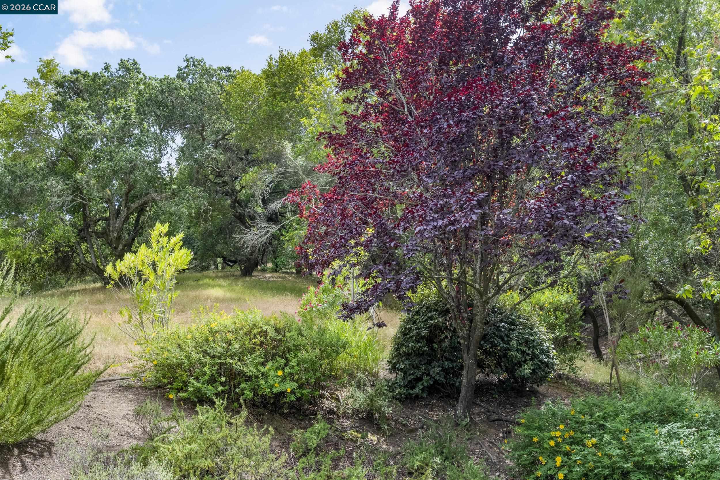 28 Curlew Way, Novato CA 94949 — photo 33