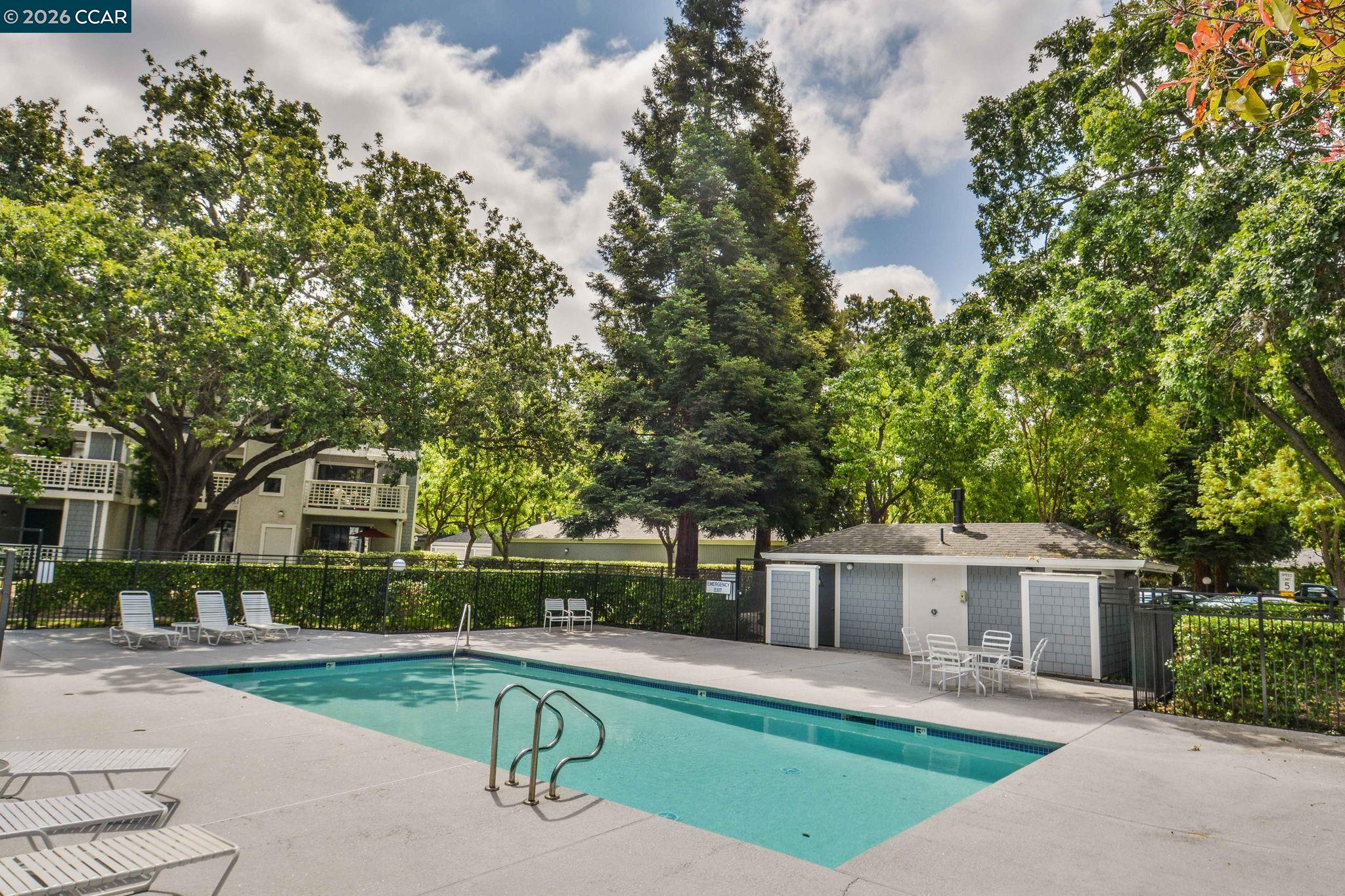 Photo #24: 41136597 Listing: Photo #24