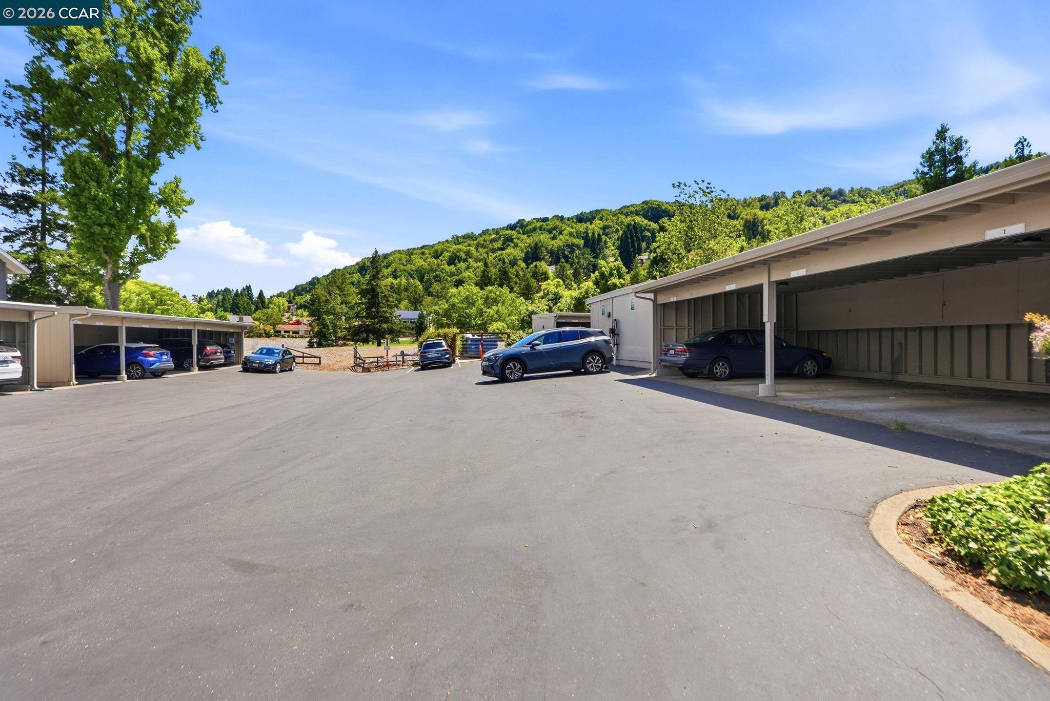 Photo #35: 41136621 Listing: Photo #35