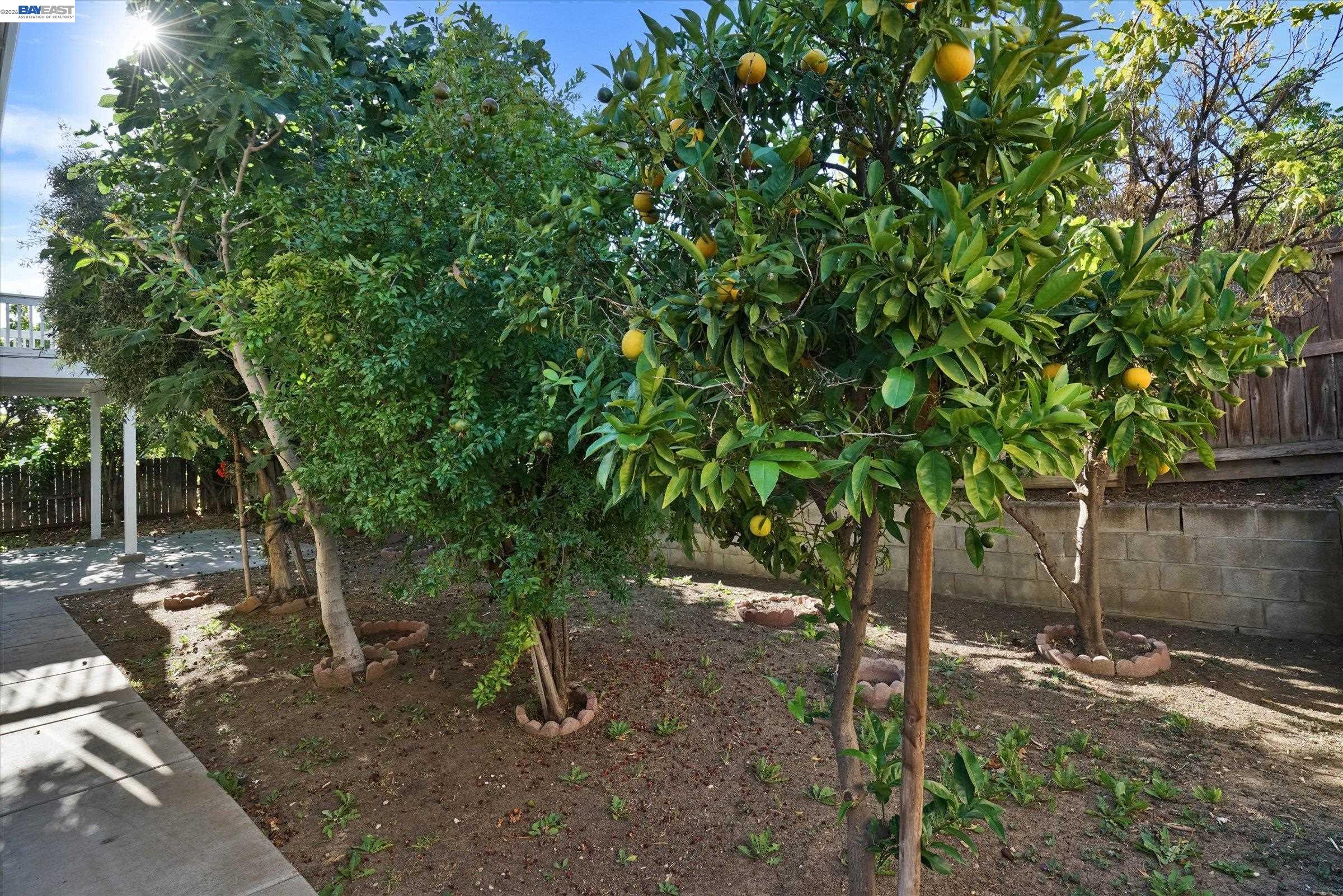 1536 Jensen Dr, Pittsburg CA 94565 — photo 47