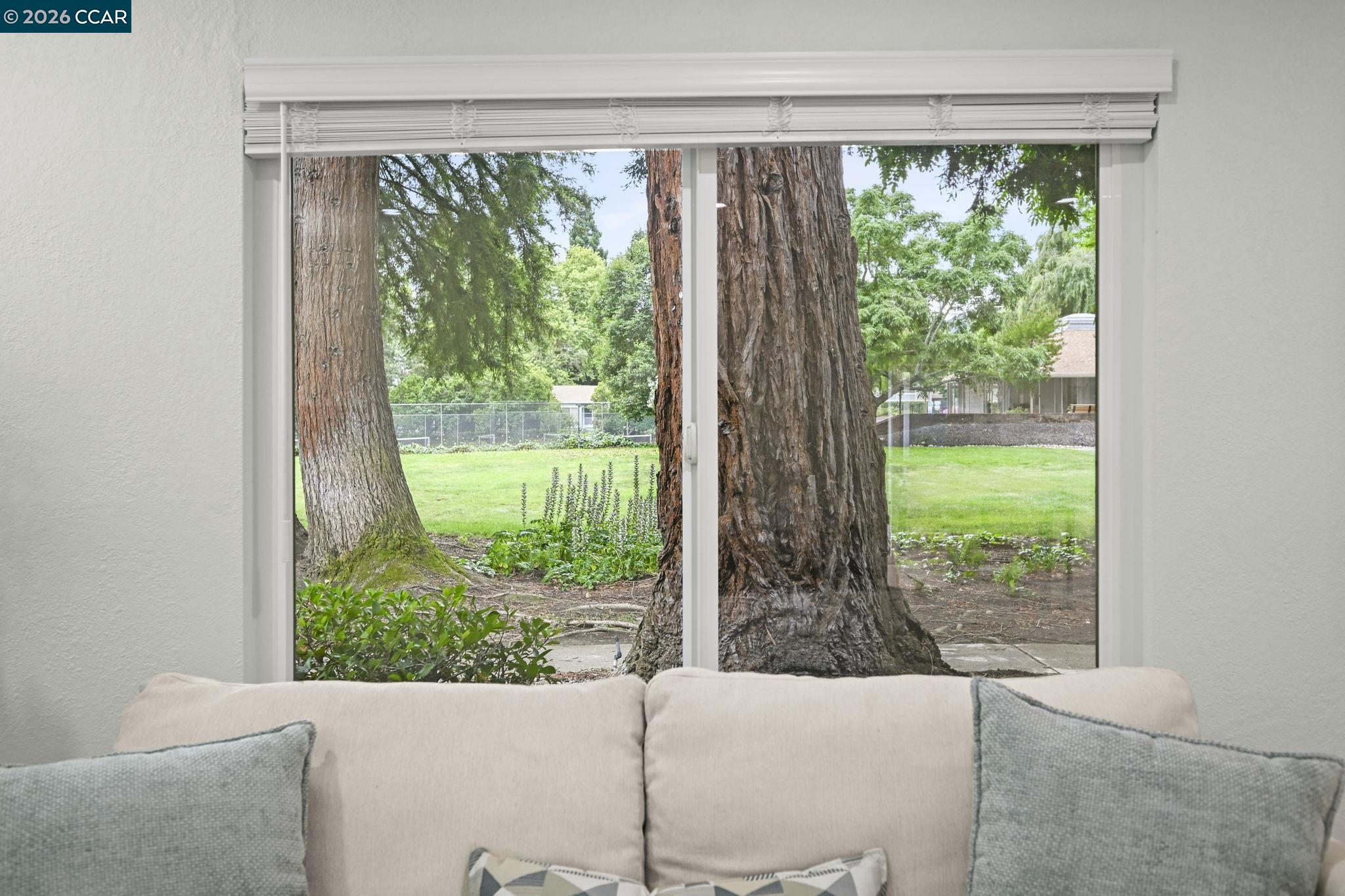 Photo #16: 41136654 Listing: Photo #16