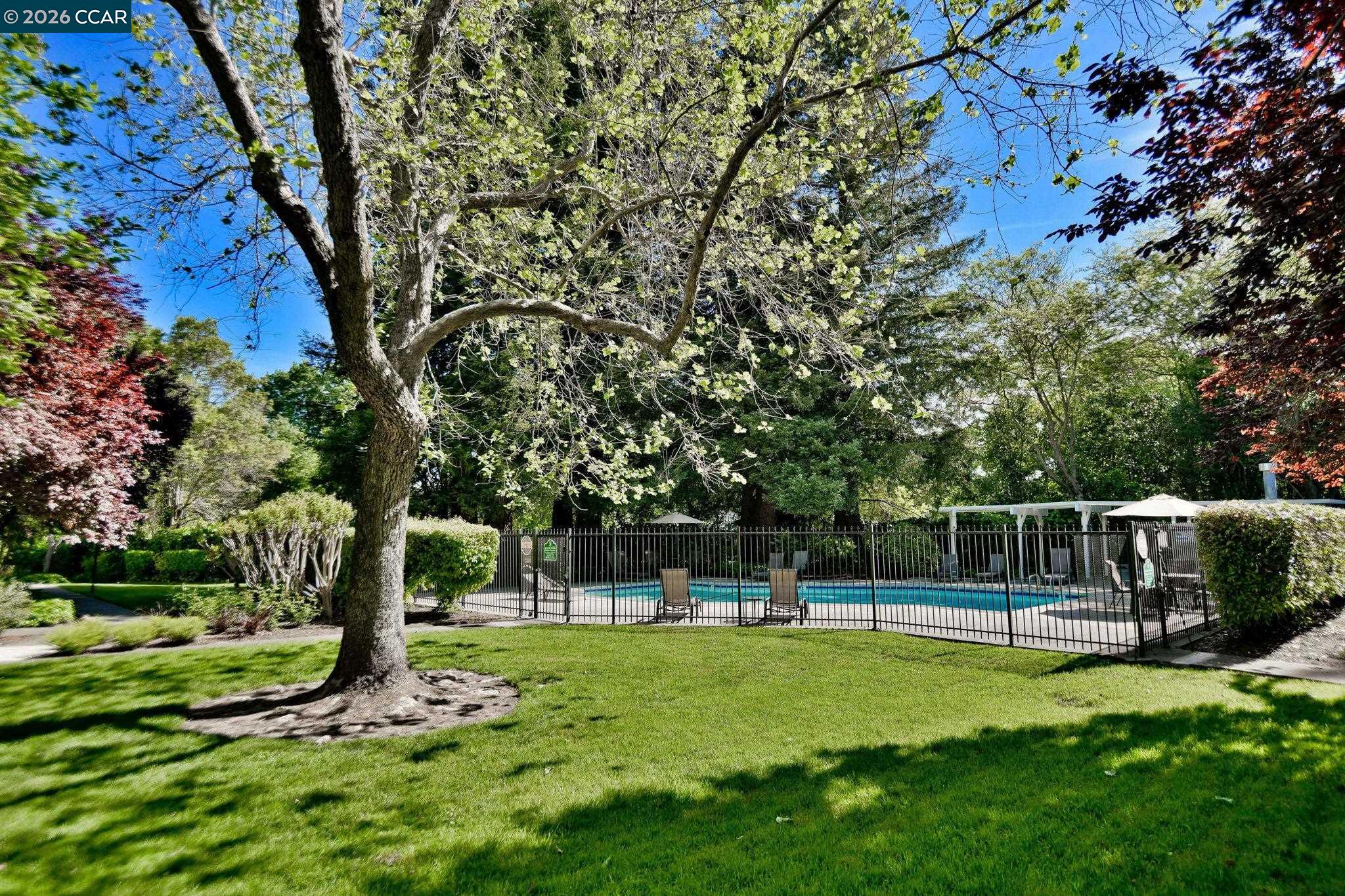 Photo #33: 41136654 Listing: Photo #33