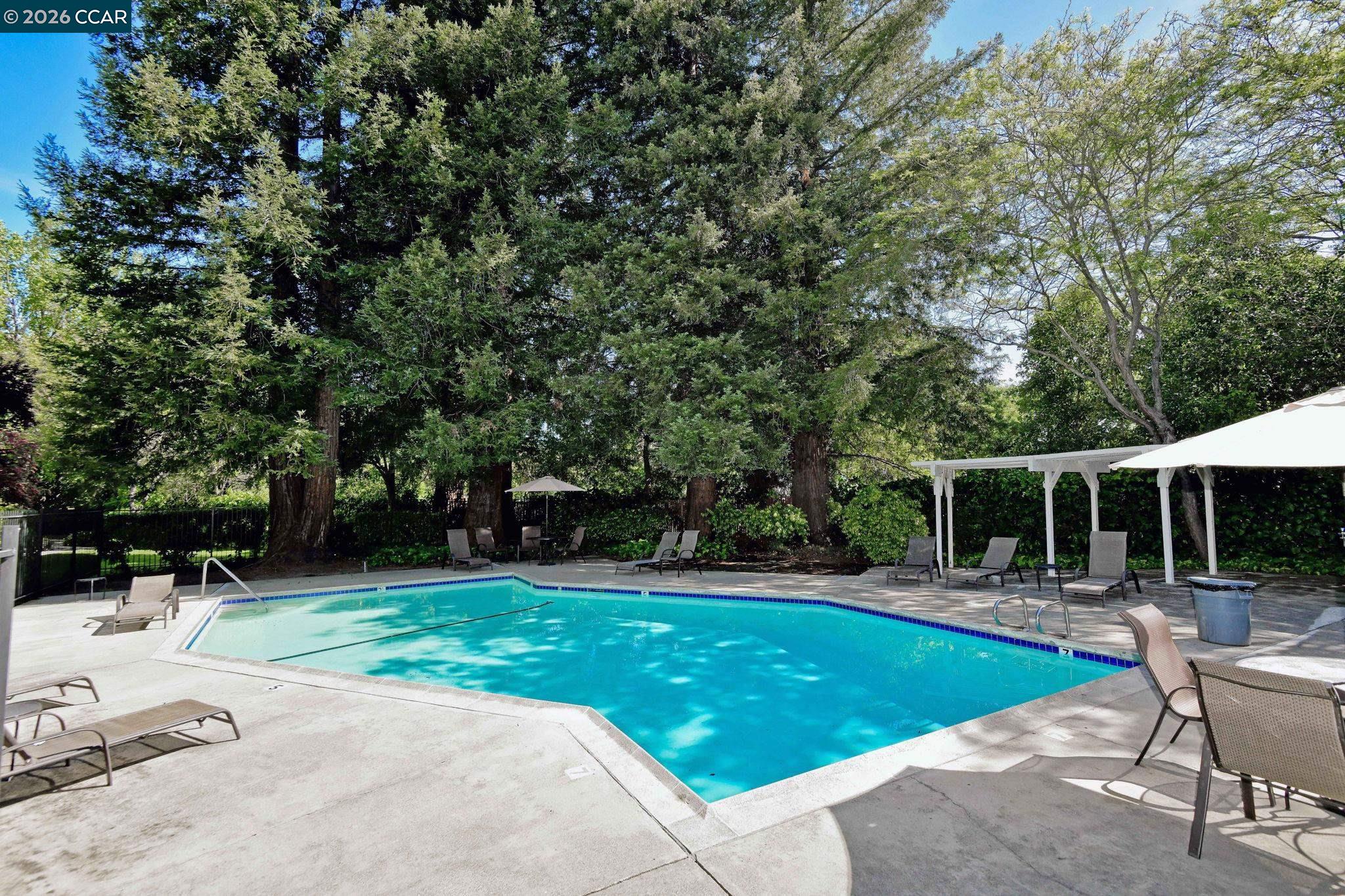 Photo #34: 41136654 Listing: Photo #34