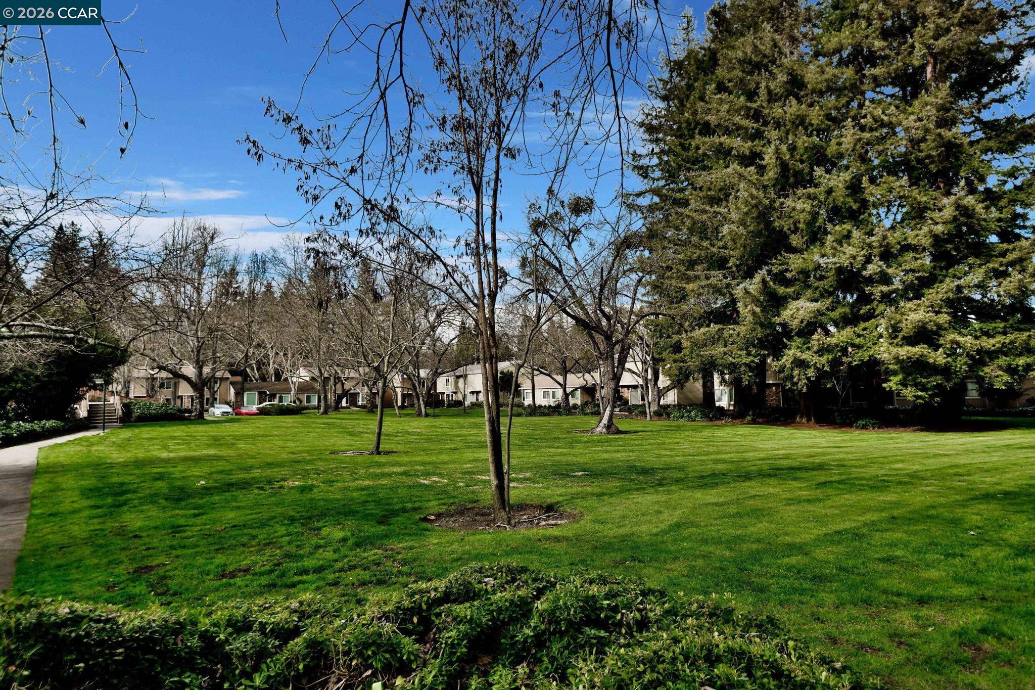 Photo #38: 41136654 Listing: Photo #38