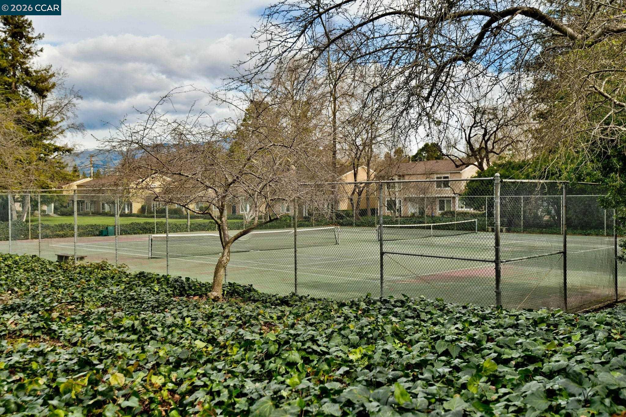 Photo #39: 41136654 Listing: Photo #39