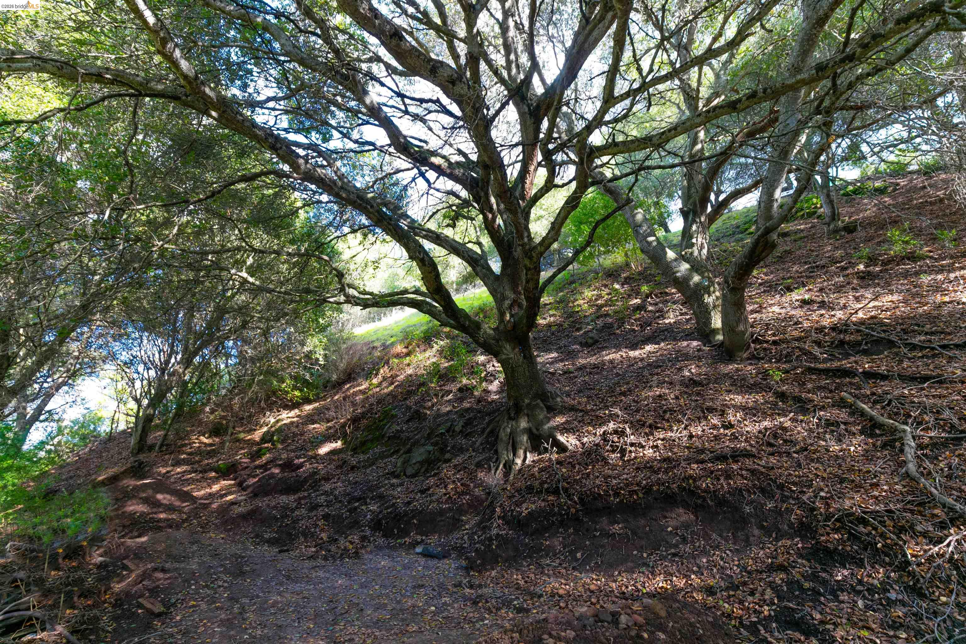 ORINDA