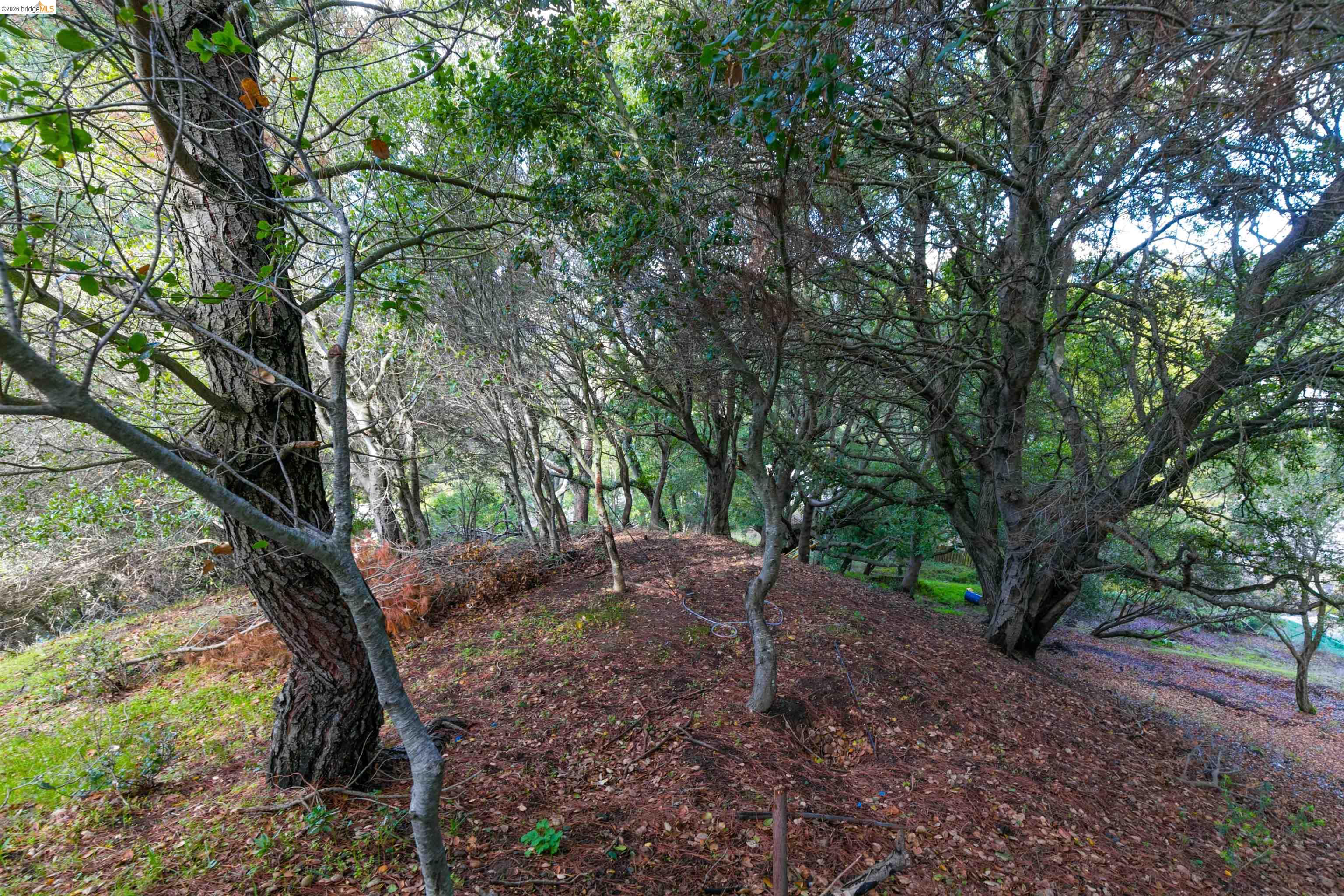 20 Lucille Way, Orinda CA 94563 — photo 8
