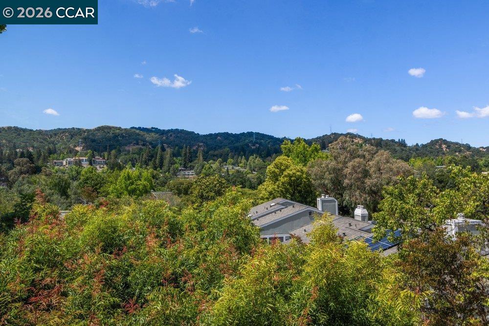 Photo #14: 41136710 Listing: Photo #14