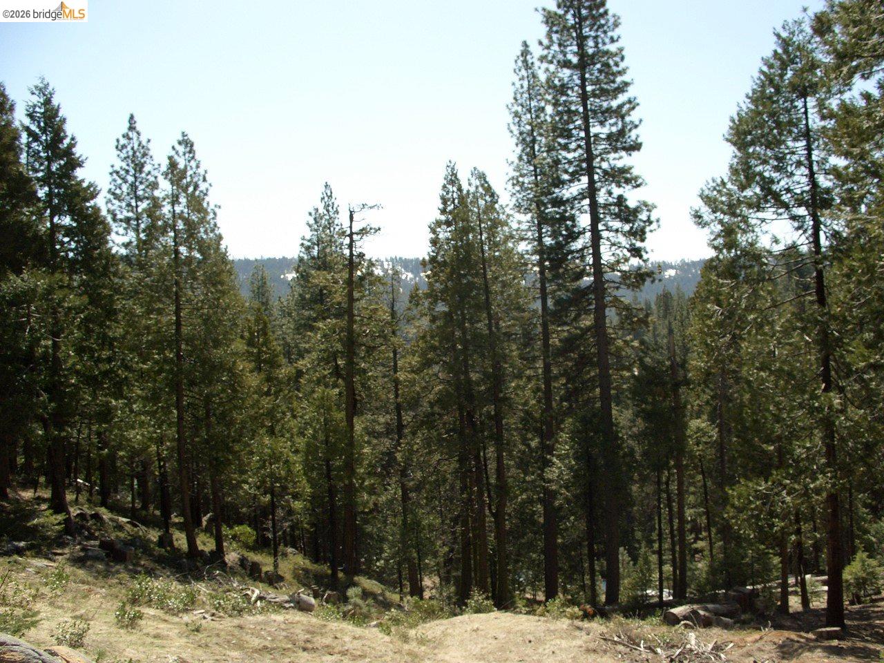 Front Image Thumbnail for EB41136732