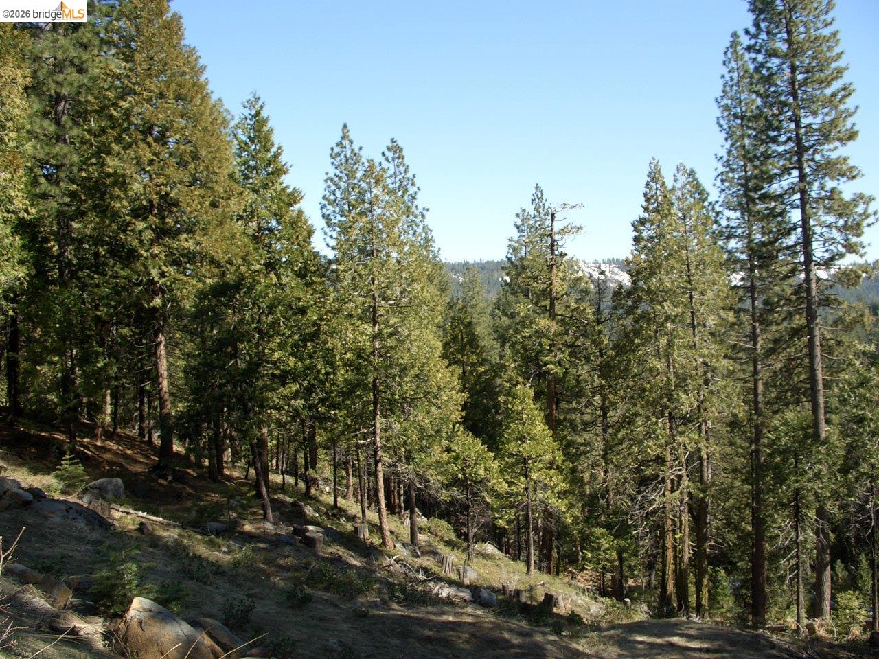 29733 Kerns Drive Lot 441, Cold Springs CA 95335 — photo 6