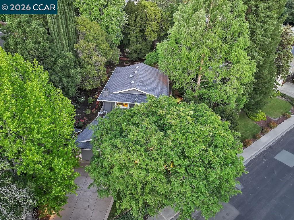 261 Appalachian Drive, Martinez CA 94553 — photo 58