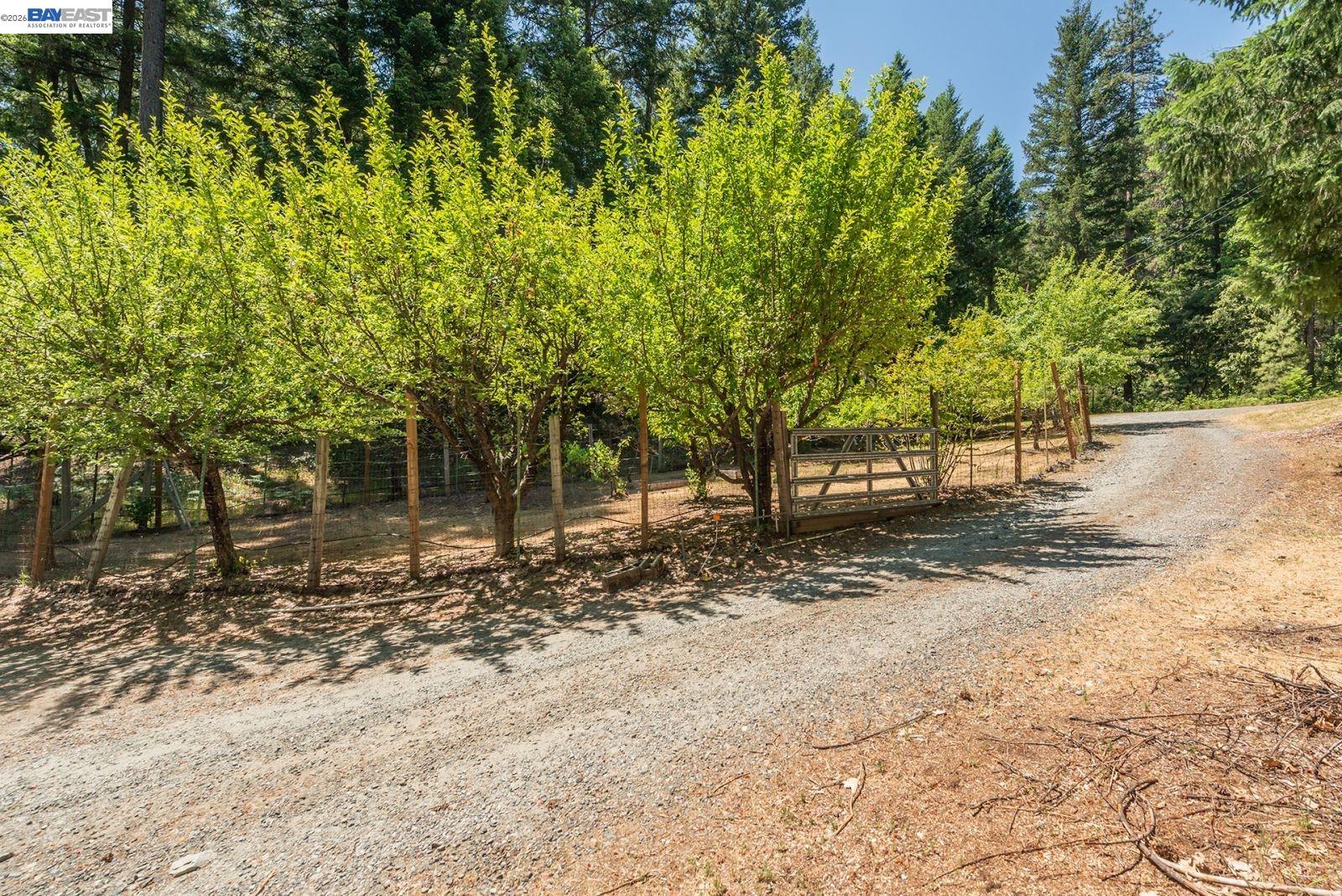 891 Salt Flat Rd, Lewiston CA 96052 — photo 35