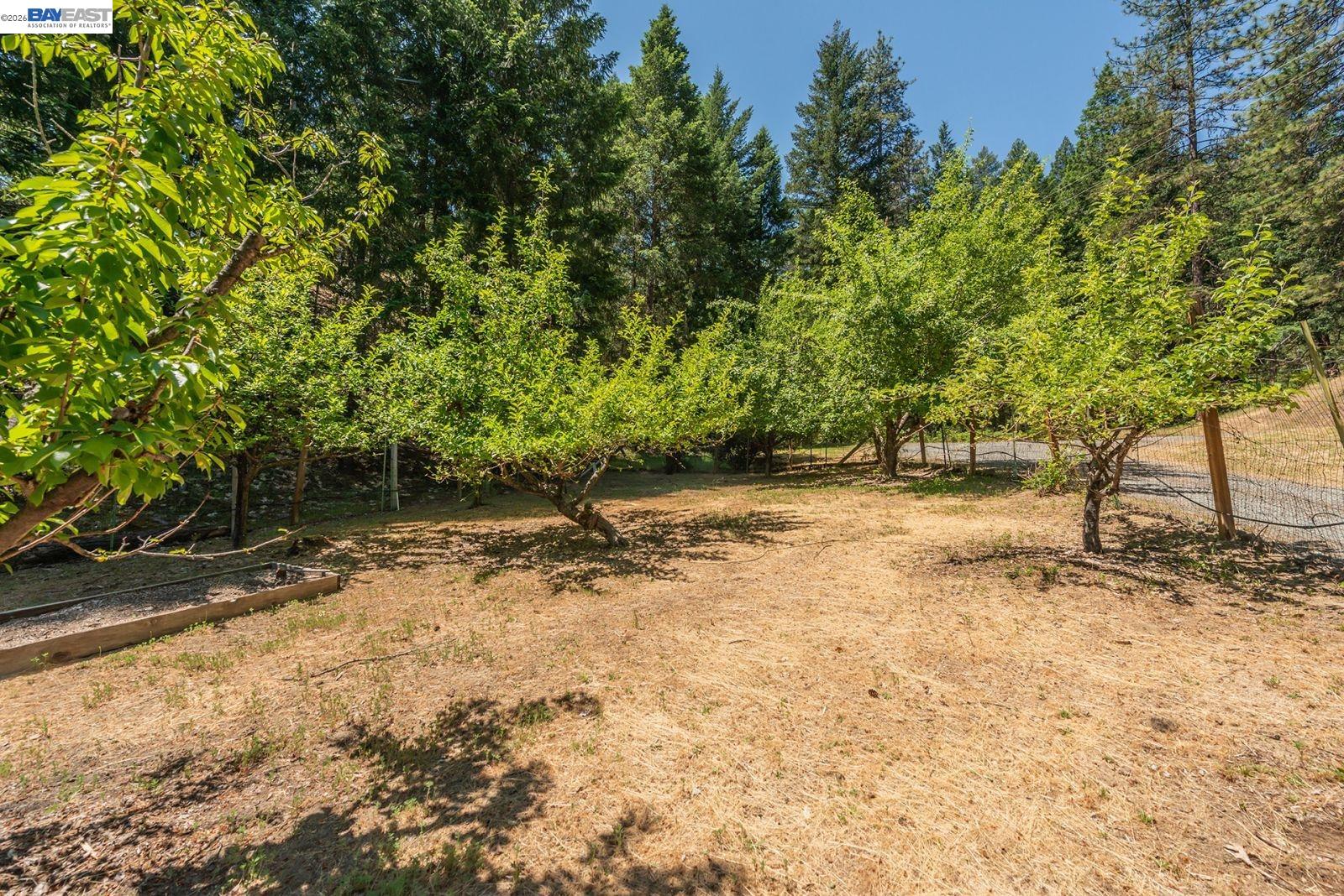 891 Salt Flat Rd, Lewiston CA 96052 — photo 37