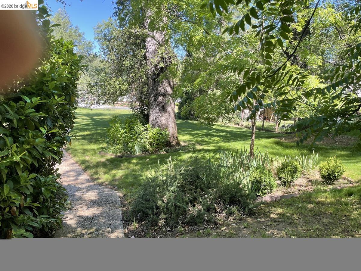 21743 Water Oak Drive, Sonora CA 95370 — photo 4