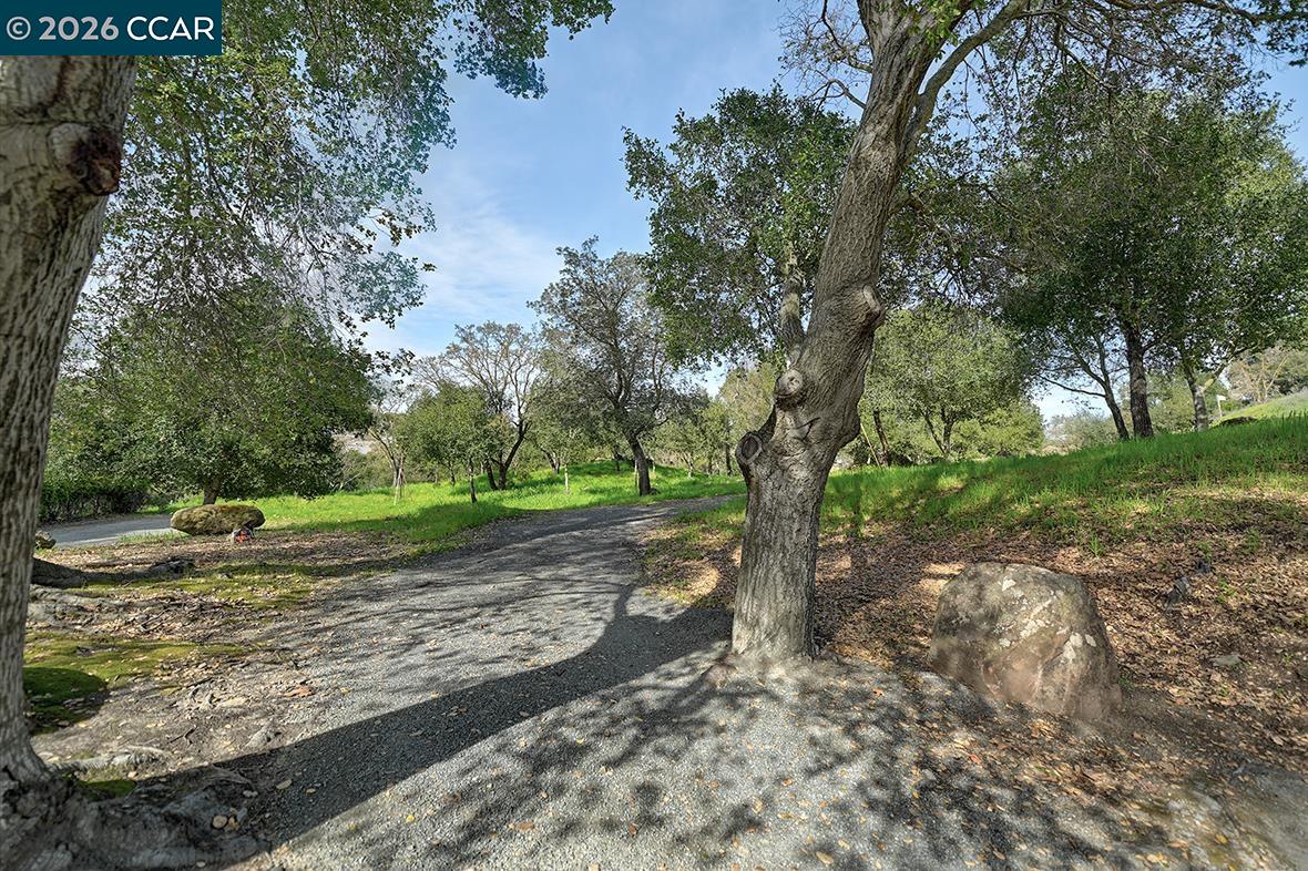 Photo #38: 41136812 Listing: Photo #38