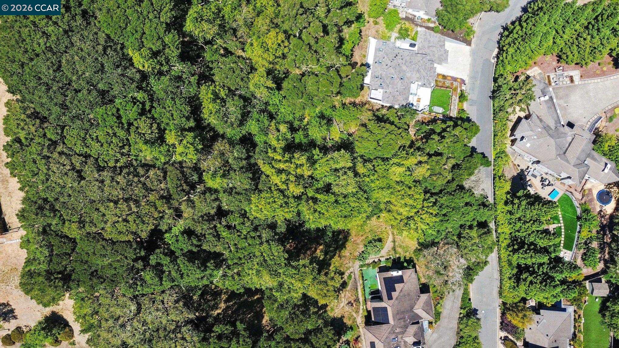 46 Oak Rd, Orinda CA 94563 — photo 8