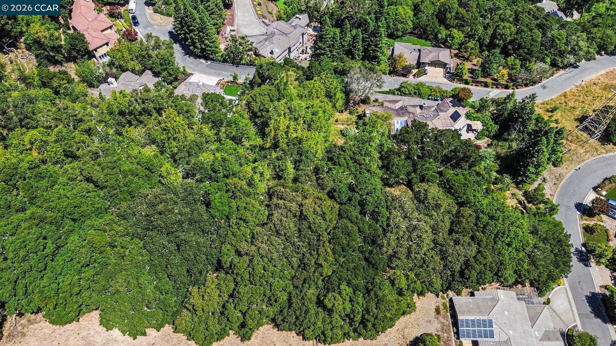 46 Oak Rd, Orinda CA 94563 — photo 13