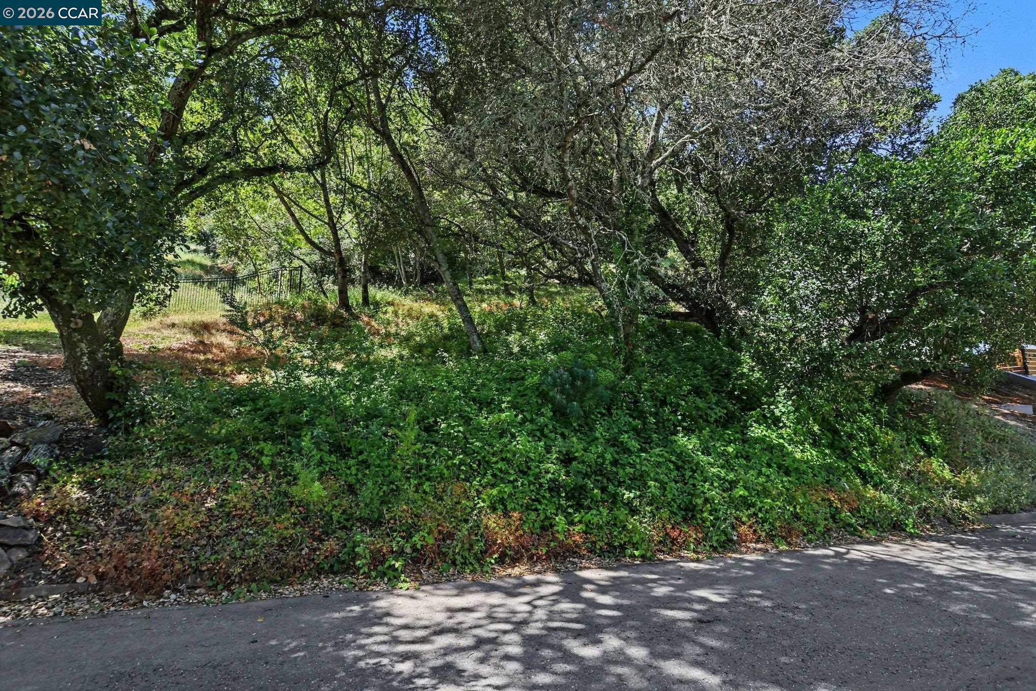 46 Oak Rd, Orinda CA 94563 — photo 2