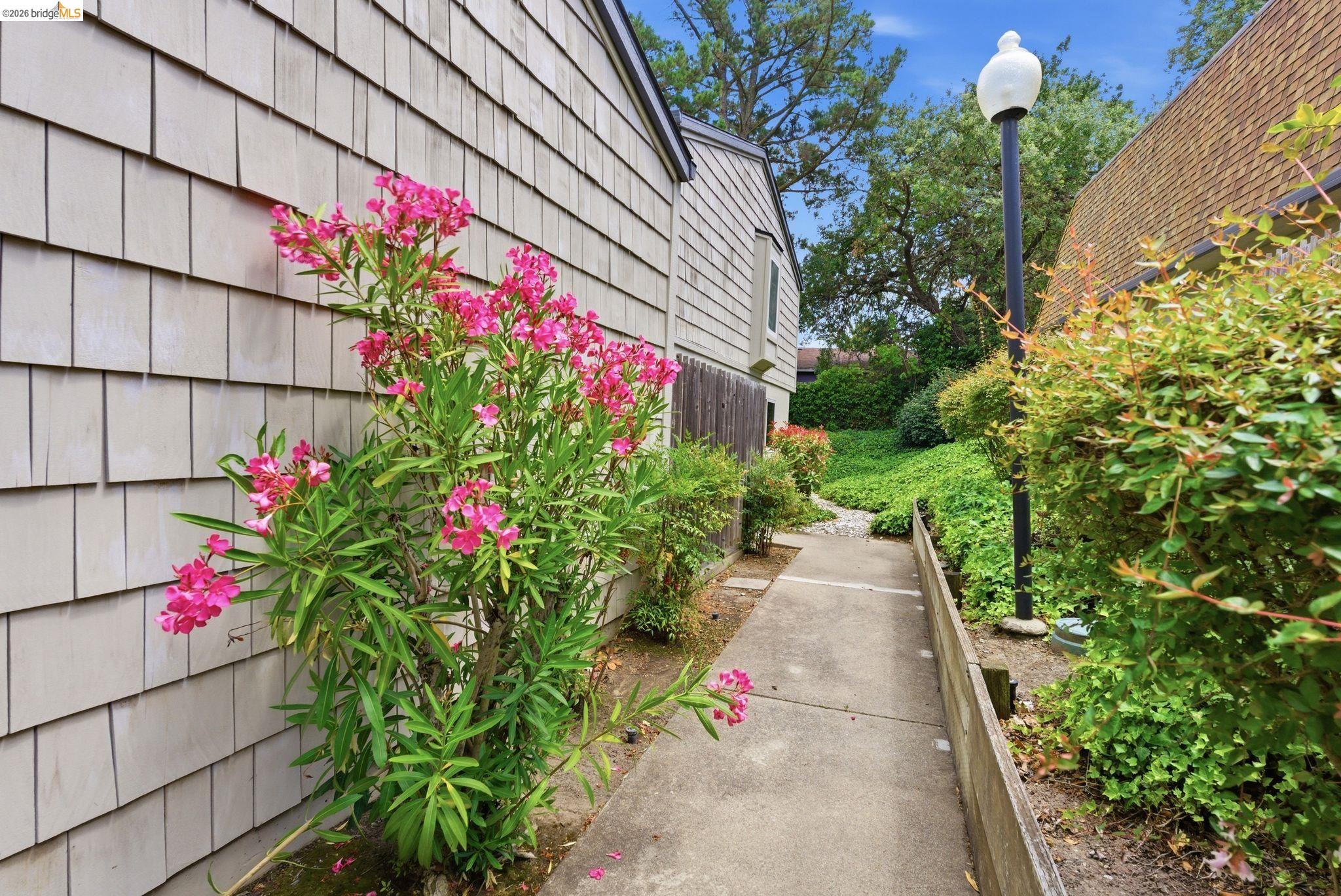 Photo #4: 41136915 Listing: Photo #4