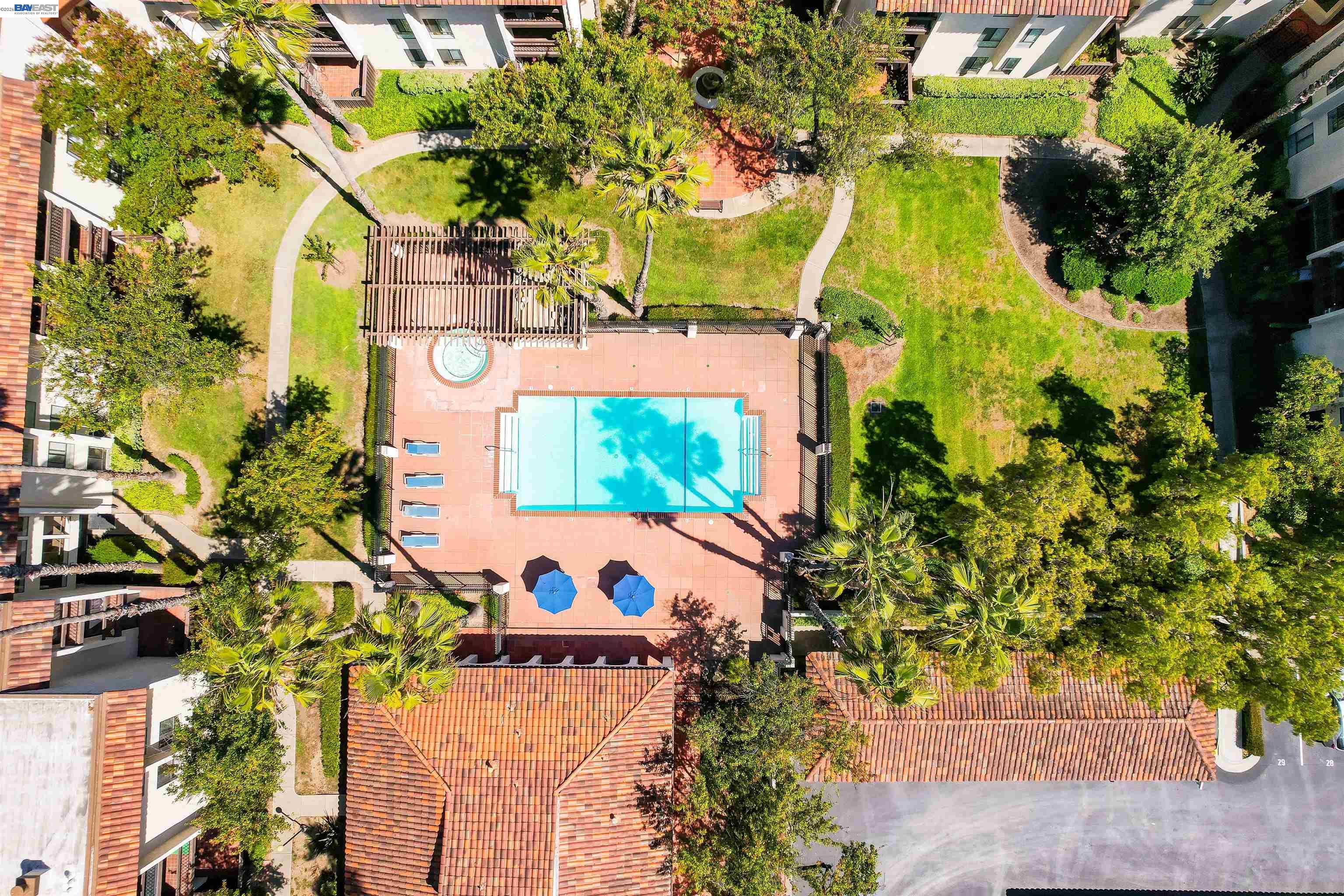 Photo #38: 41136928 Listing: Photo #38