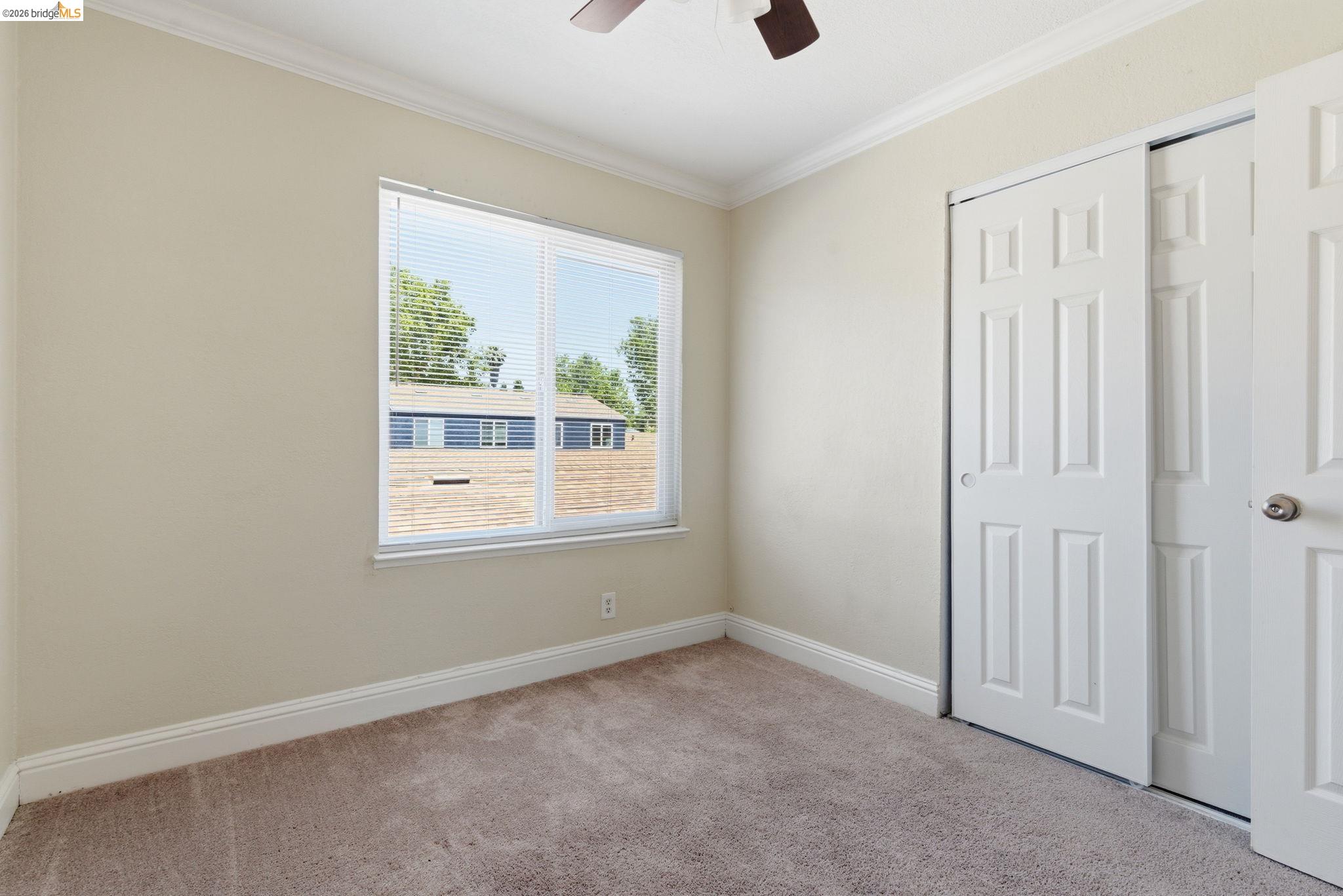 Photo #24: 41136931 Listing: Photo #24
