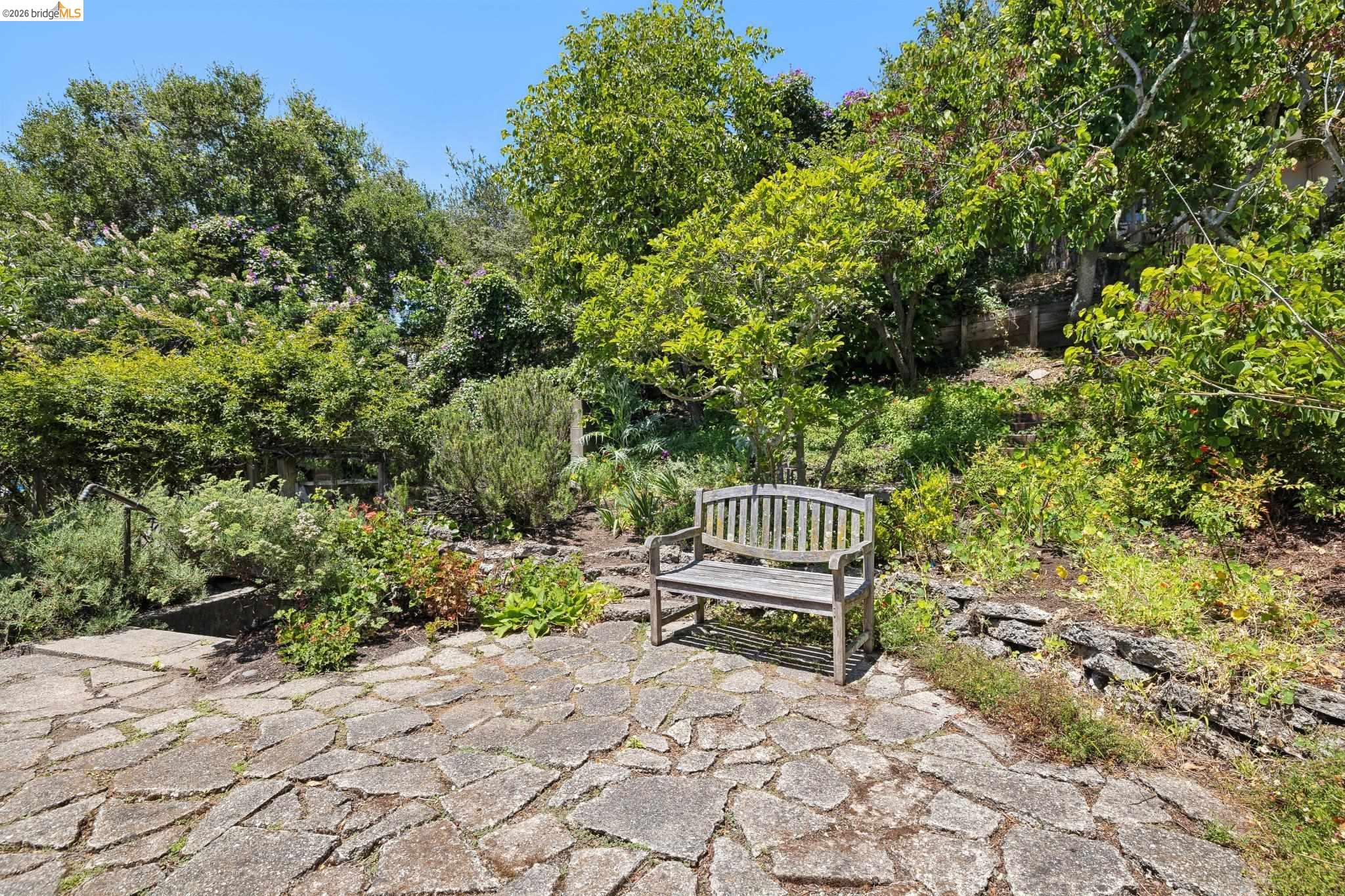 Photo #38: 41136942 Listing: Photo #38