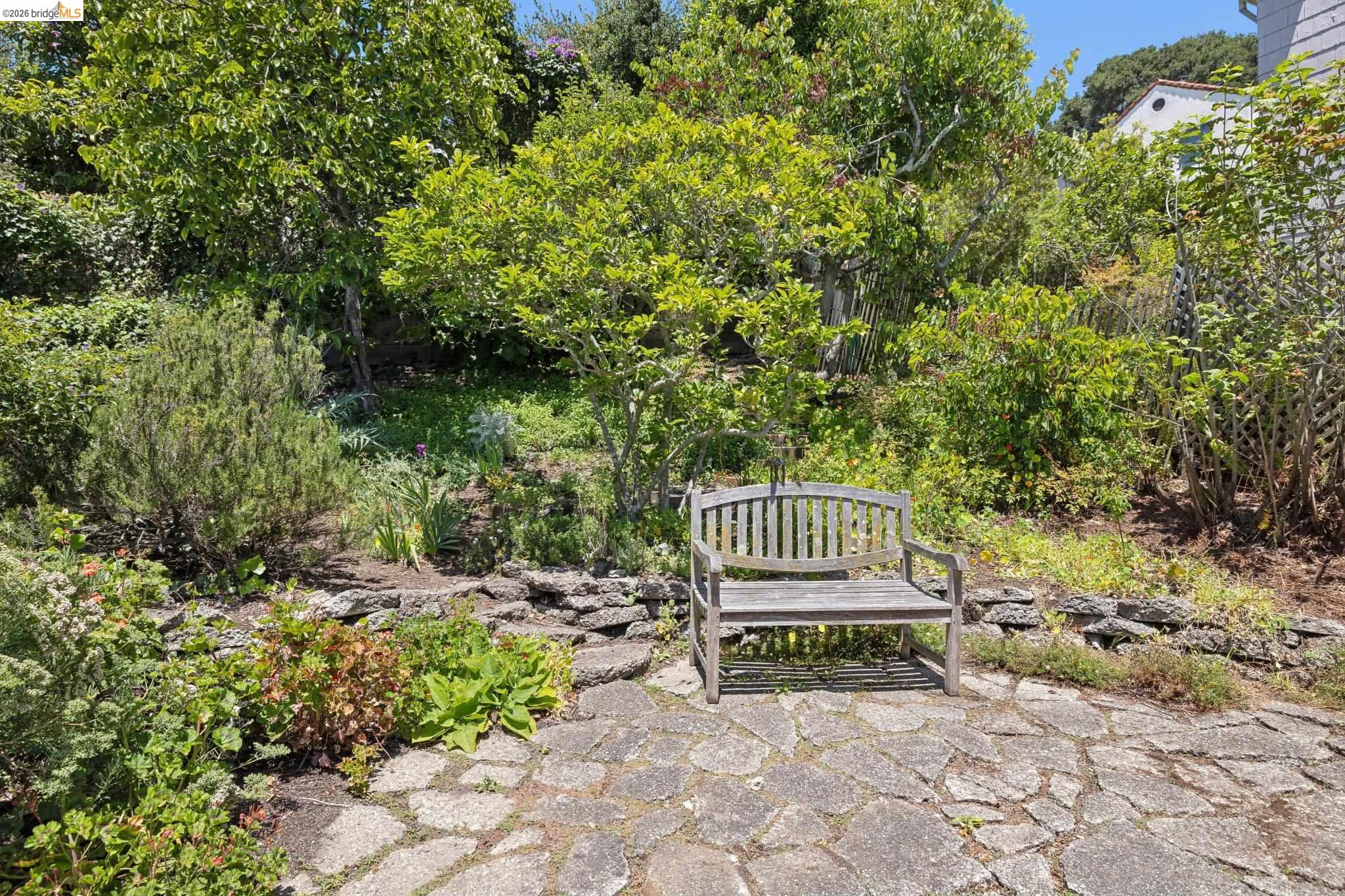 Photo #39: 41136942 Listing: Photo #39