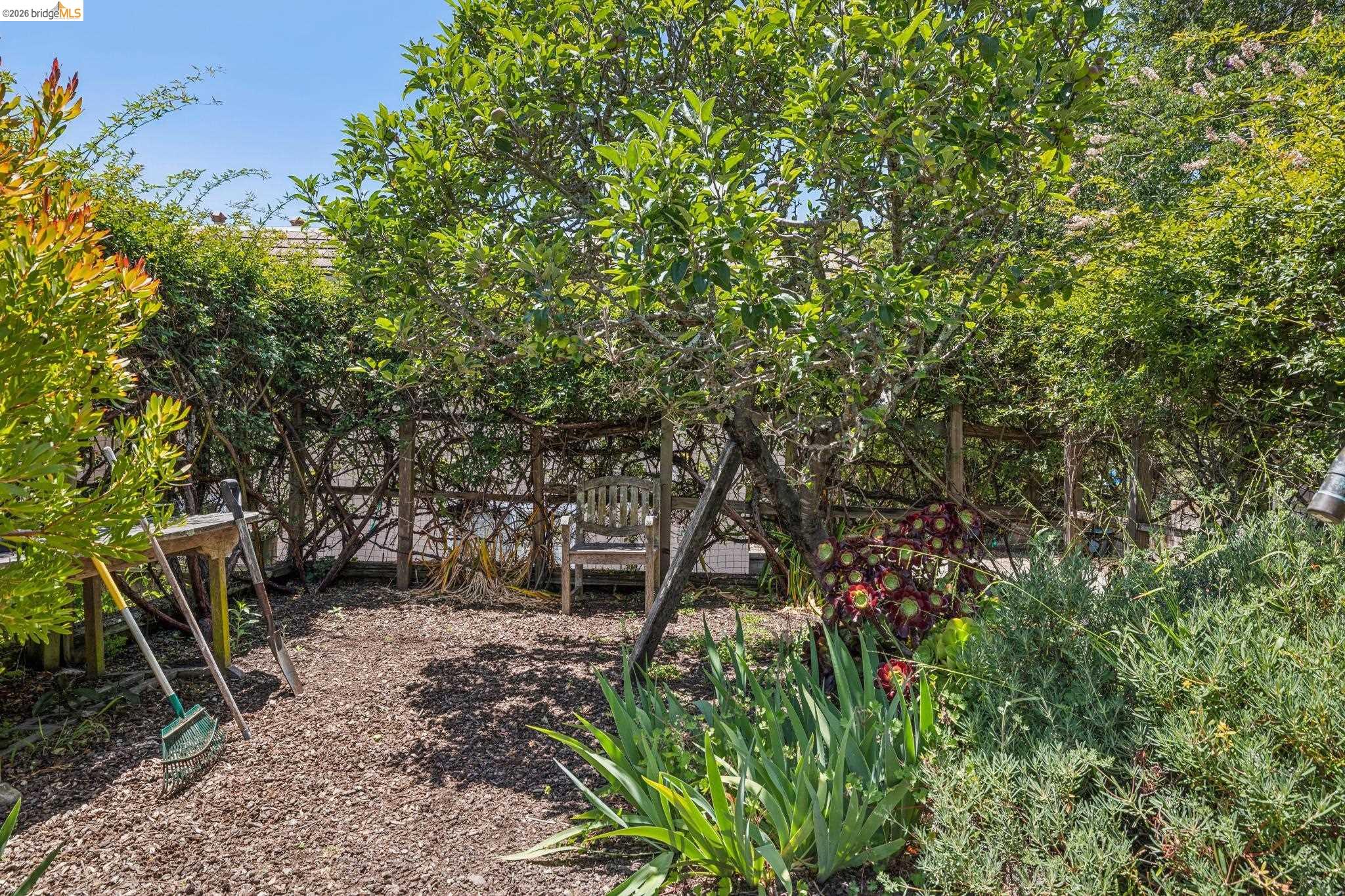 Photo #43: 41136942 Listing: Photo #43