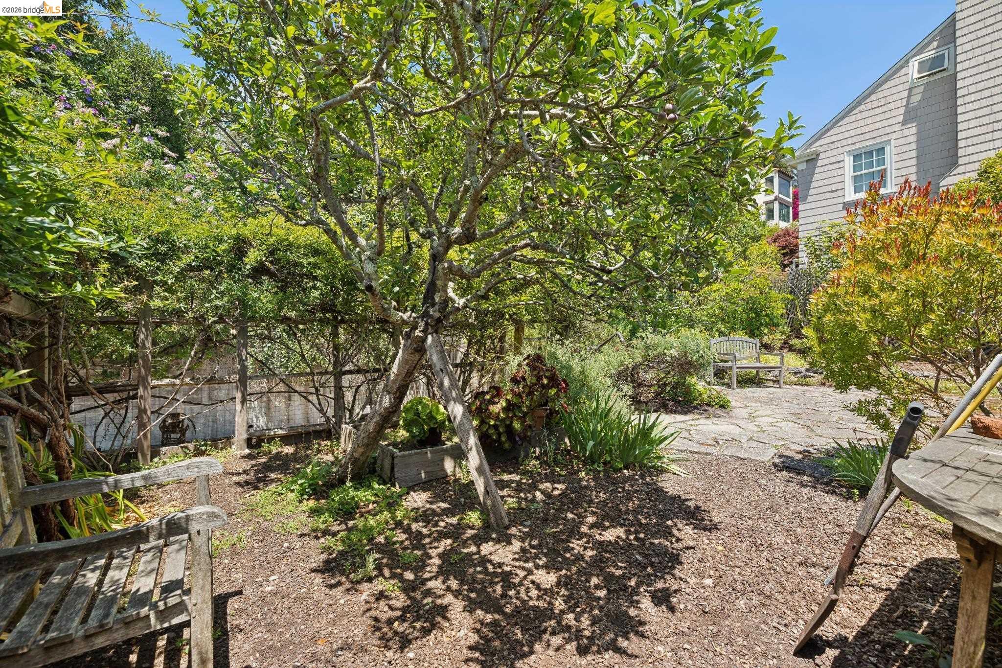 Photo #44: 41136942 Listing: Photo #44