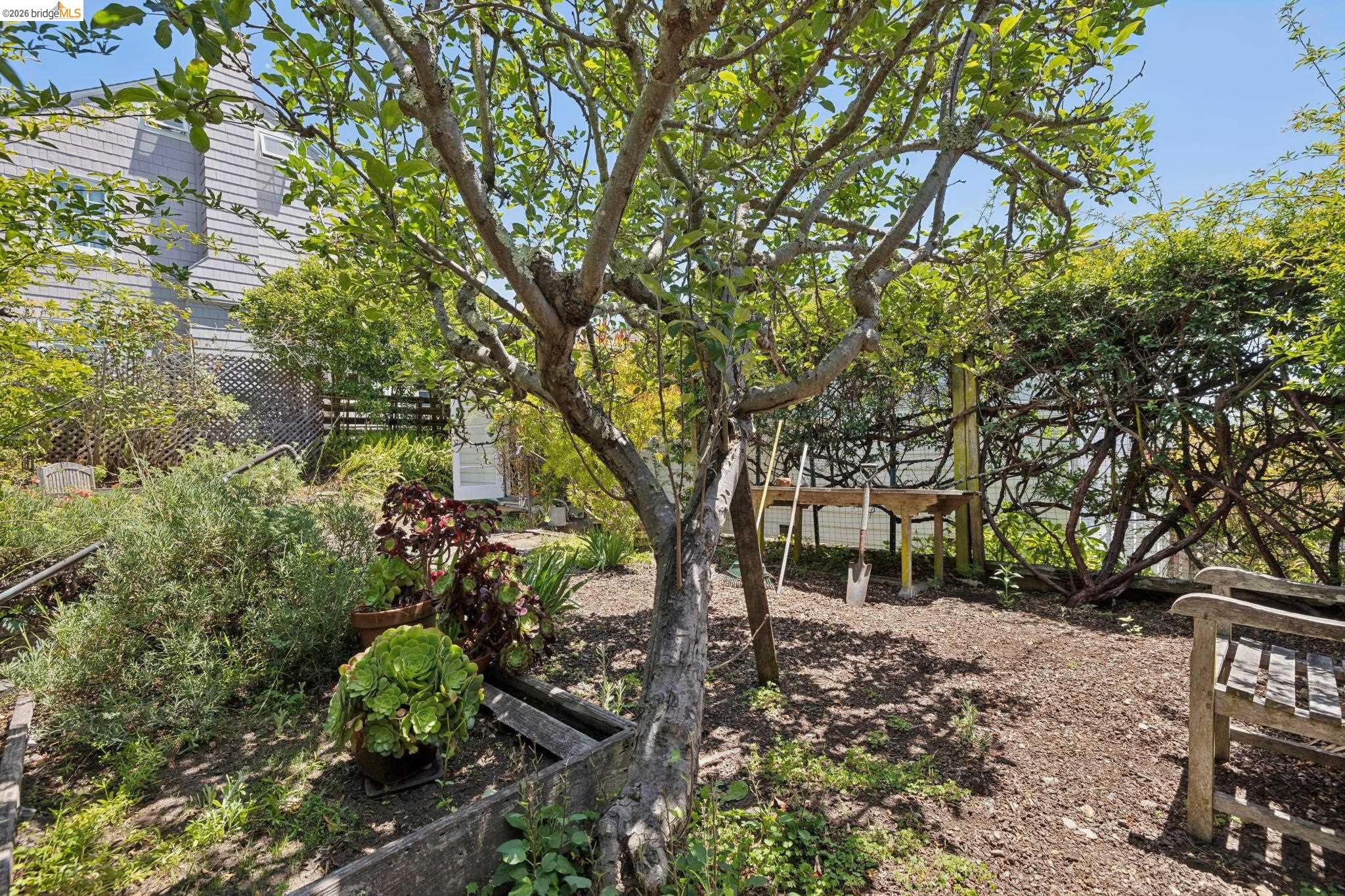 Photo #45: 41136942 Listing: Photo #45