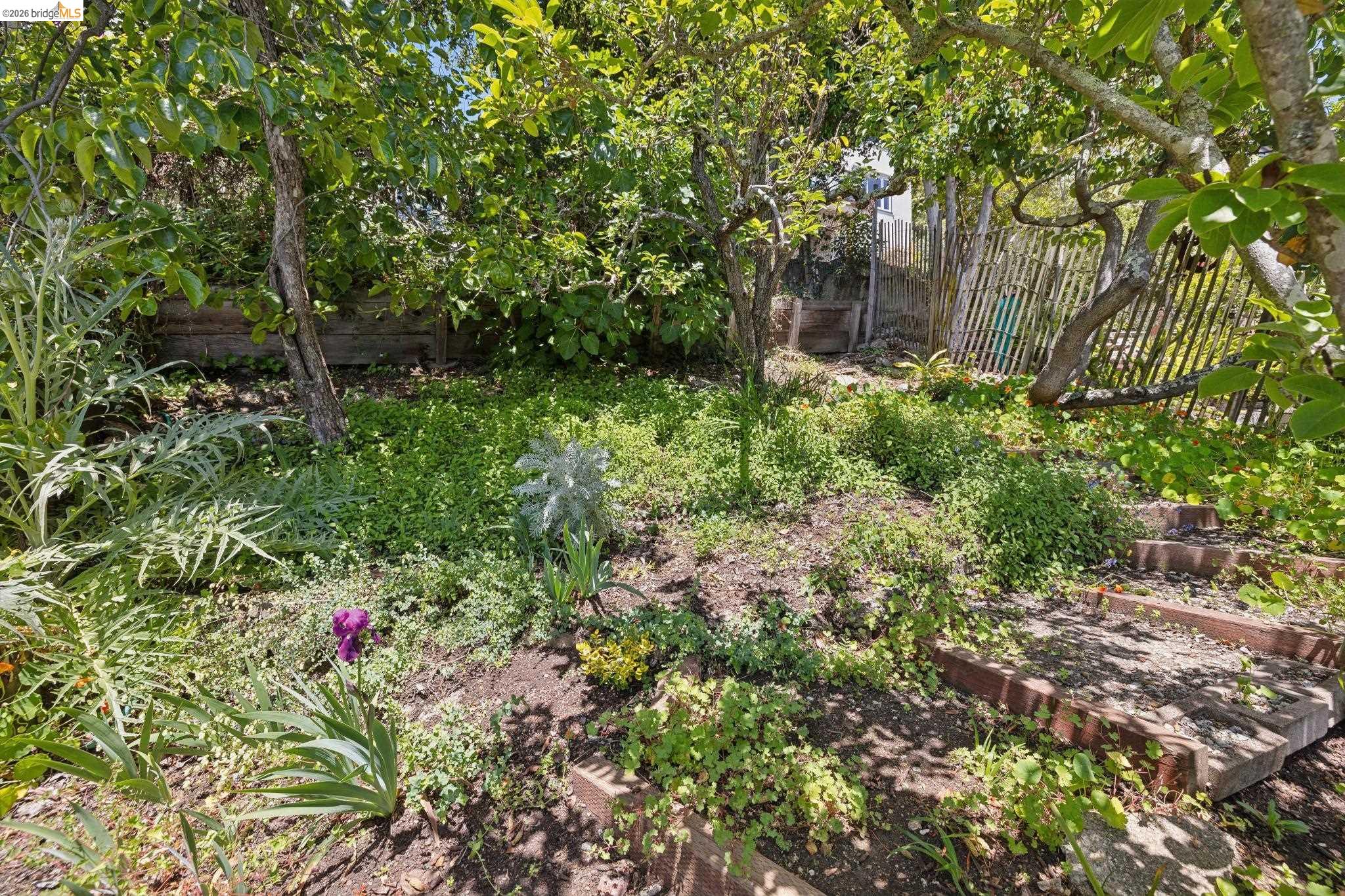 Photo #47: 41136942 Listing: Photo #47