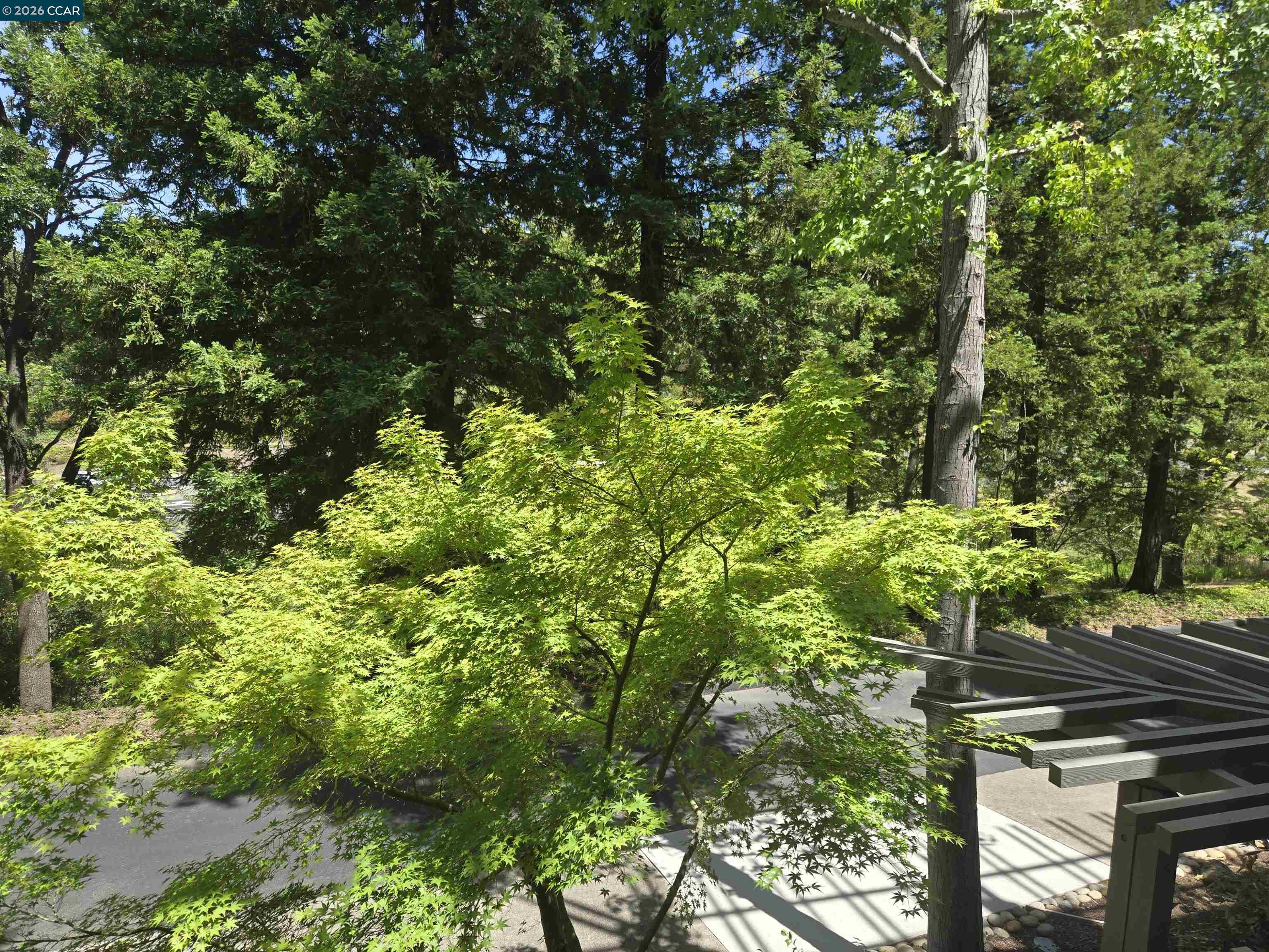 Photo #23: 41136945 Listing: Photo #23